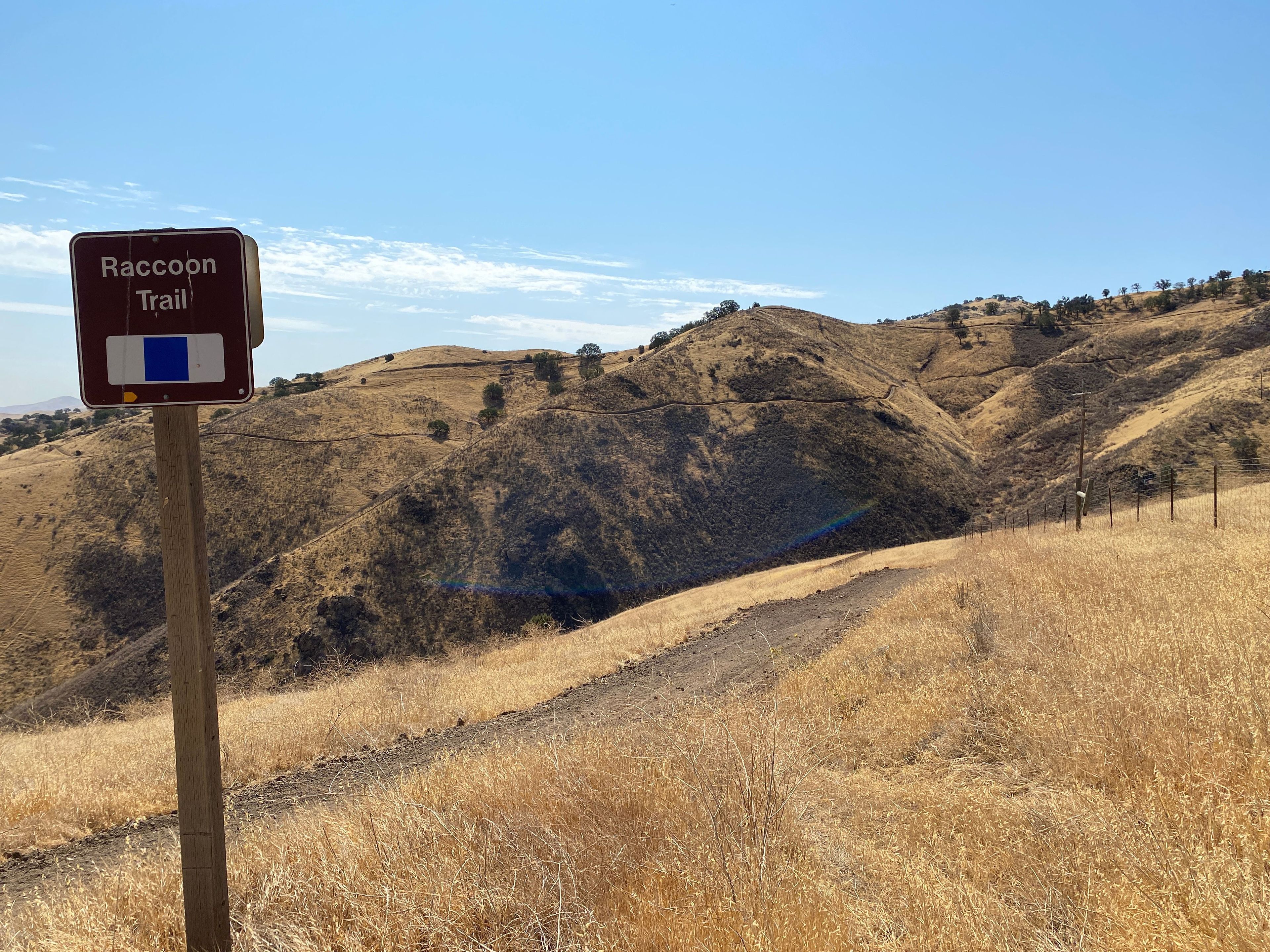 Racoon Trailhead Entrance on Los Osos, Blue Square Intermediate