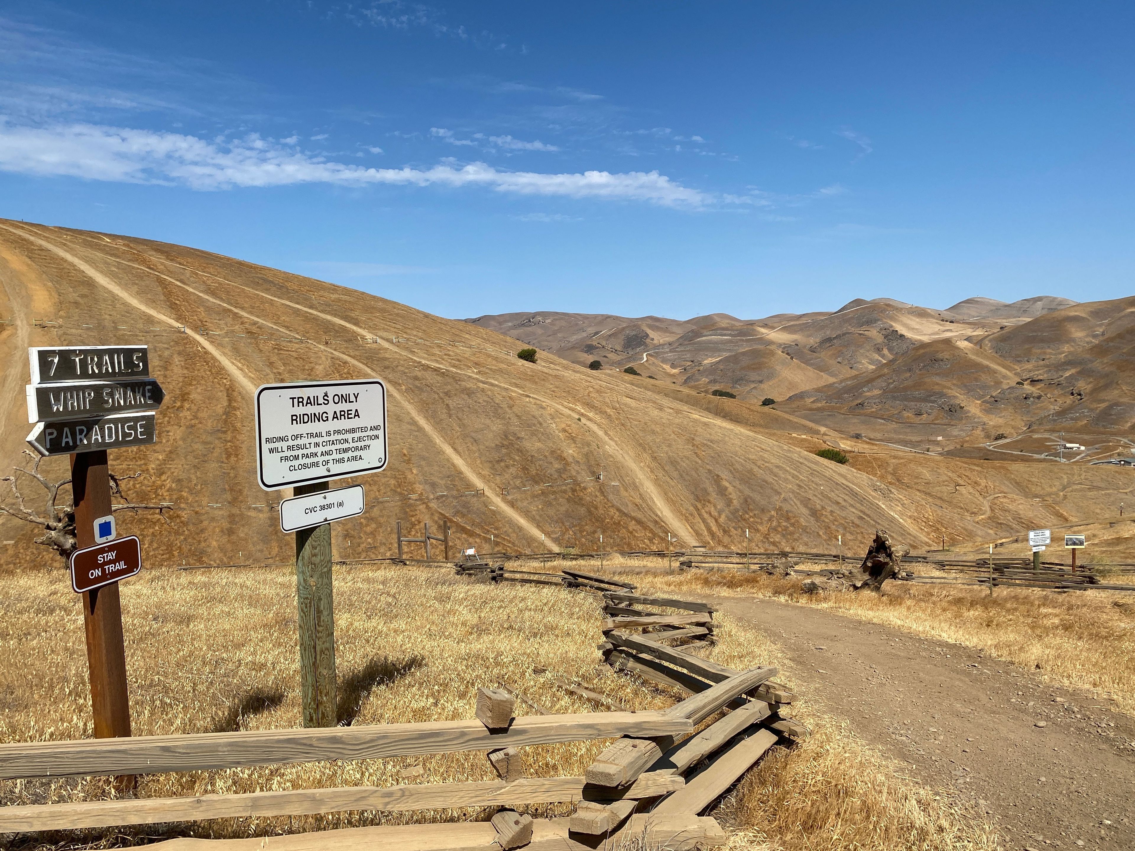 First Whipsnake Trailhead Entrance on Los Osos, Blue Square Intermediate