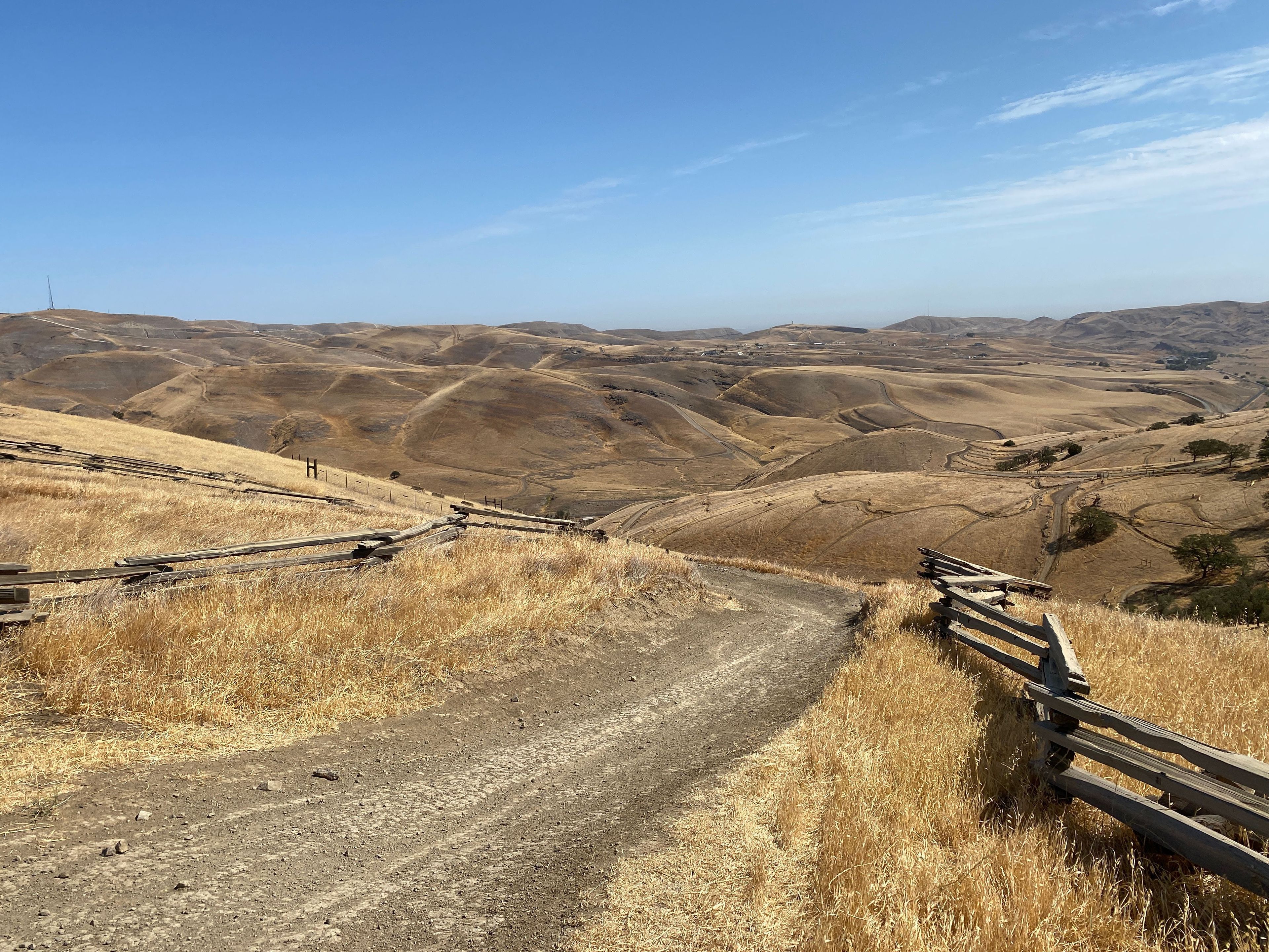 Second Whipsnake Trailhead Entrance on Los Osos, Blue Square Intermediate