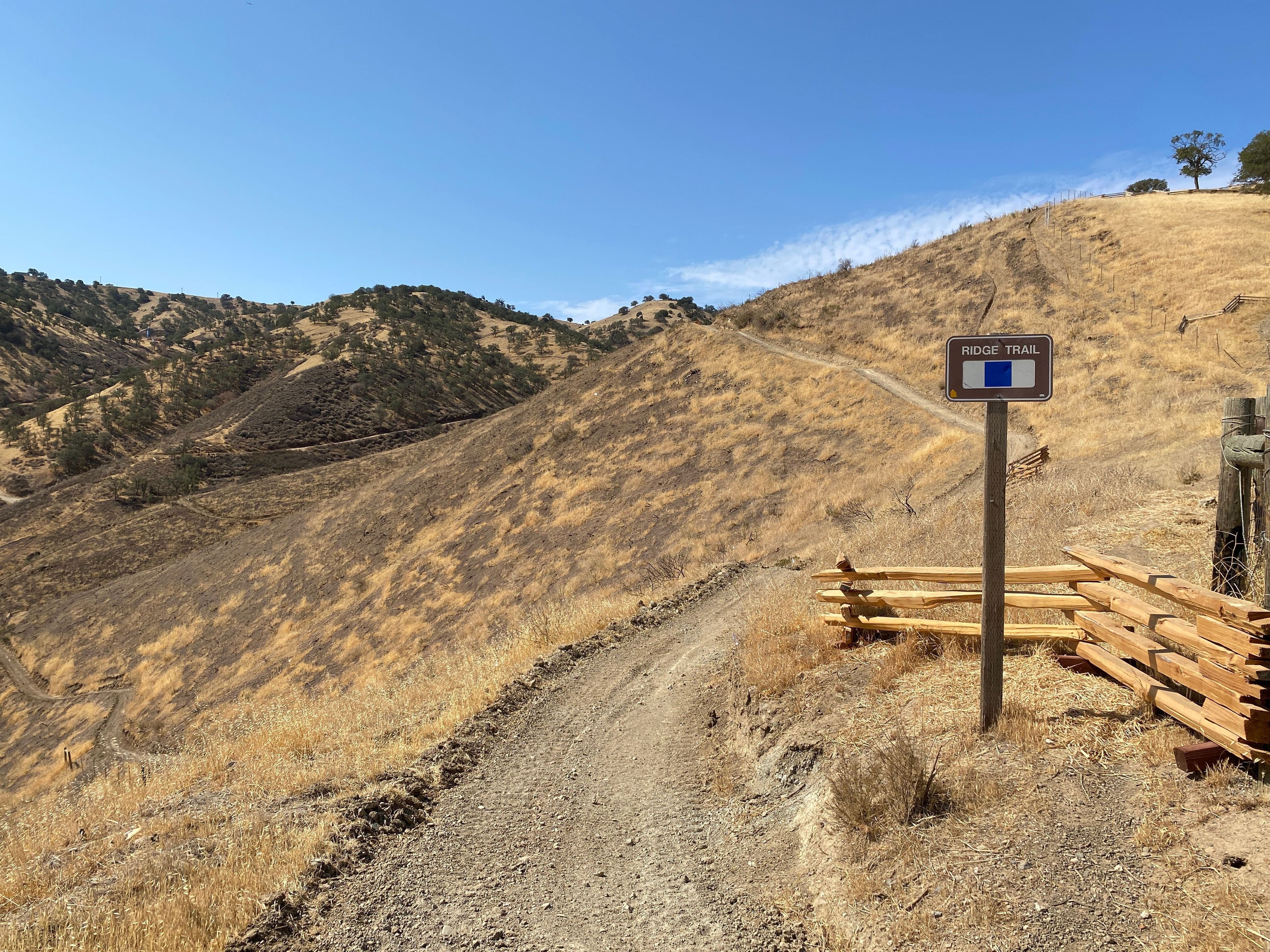 First Ridge Trailhead Entrance on Los Osos, Blue Square Intermediate