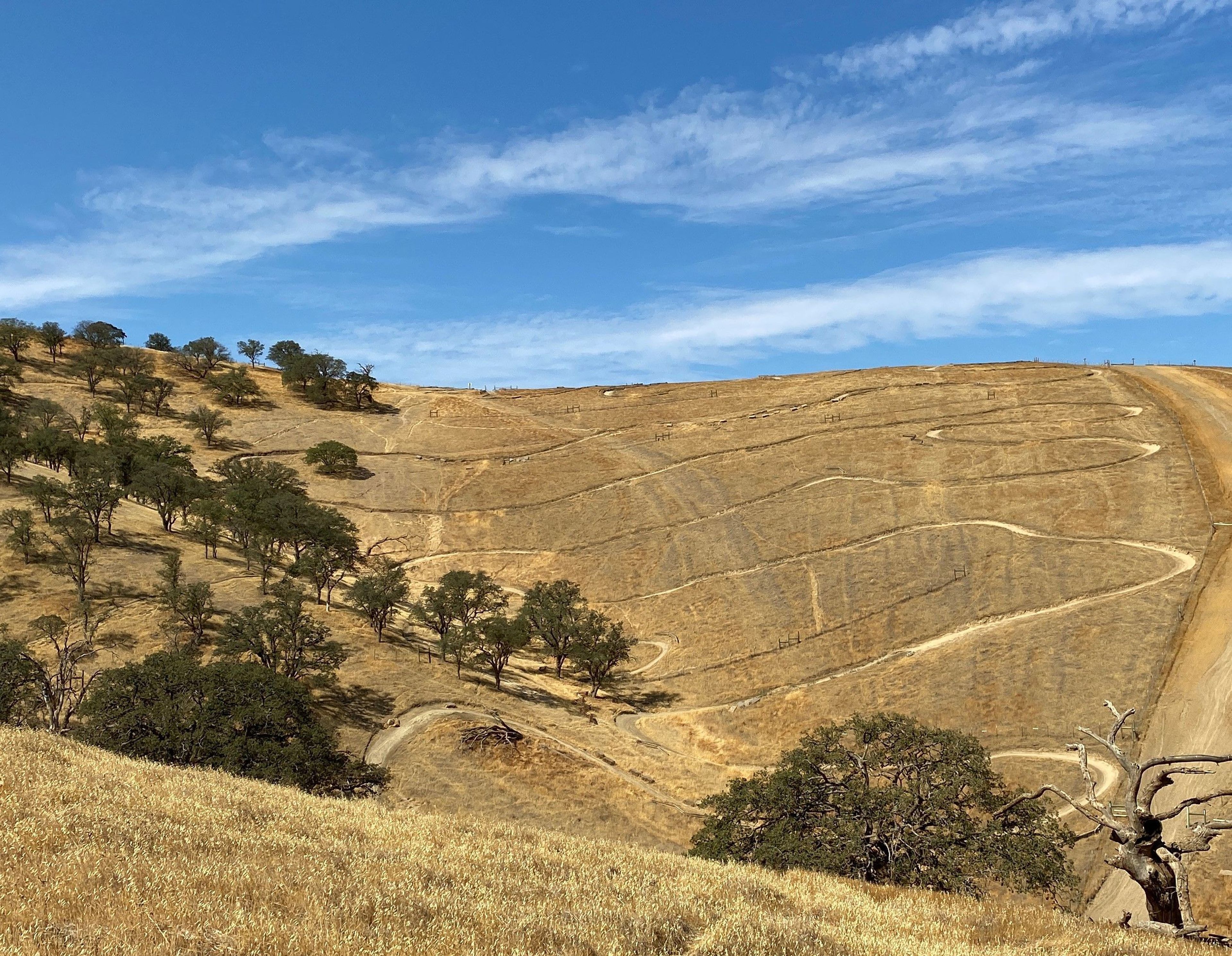 View of Whipsnake Trail from below