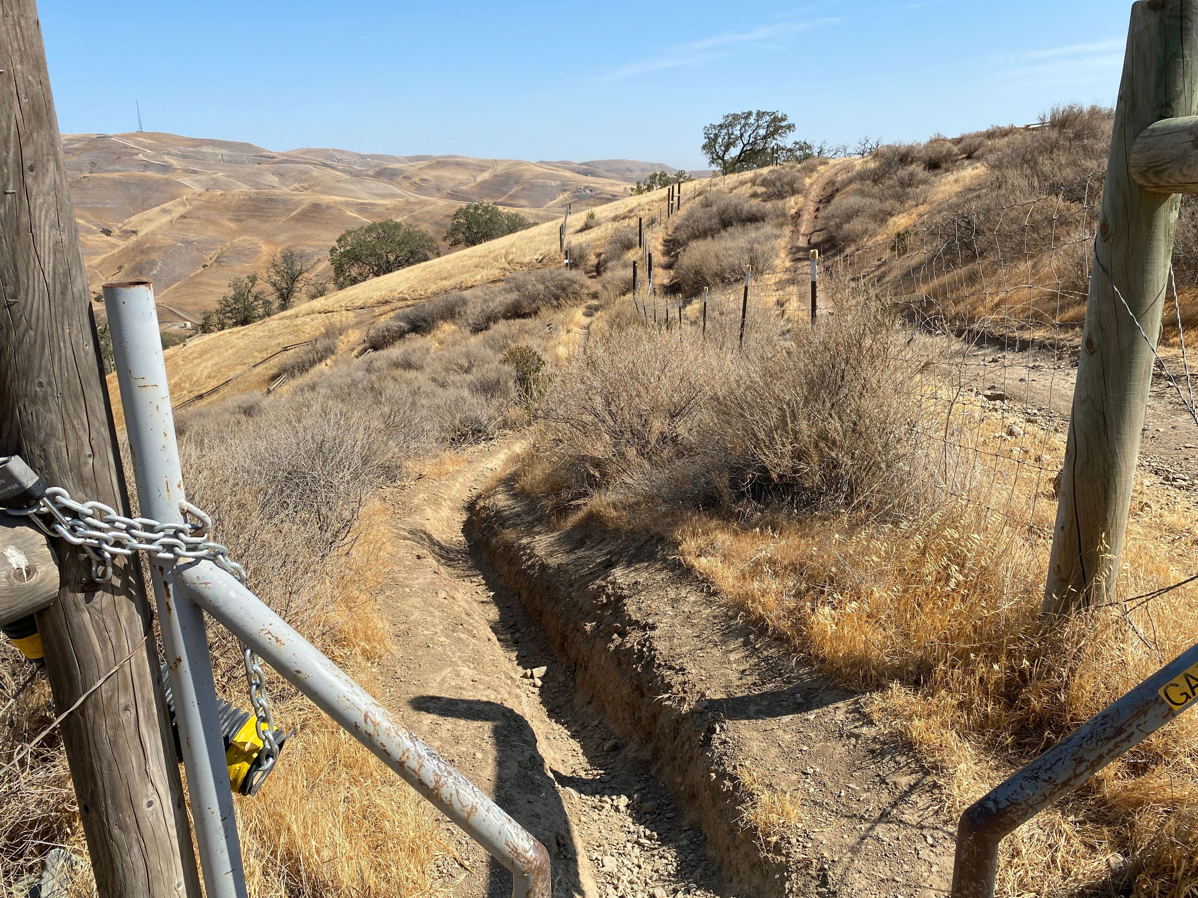 Second Paradise Trailhead Entrance on Los Osos, Blue Square Intermediate