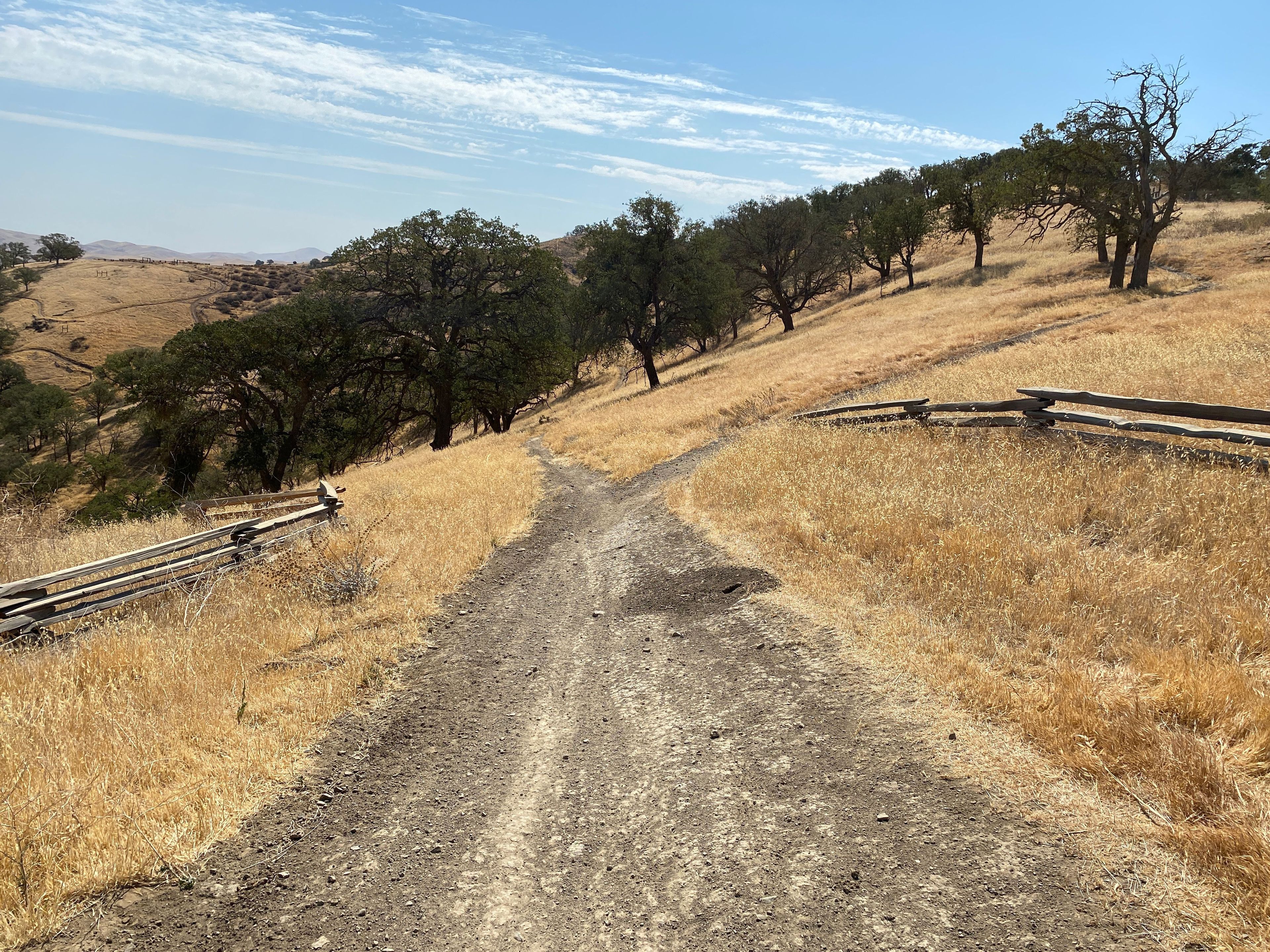 Third Paradise Trailhead Entrance on Los Osos, Blue Square Intermediate