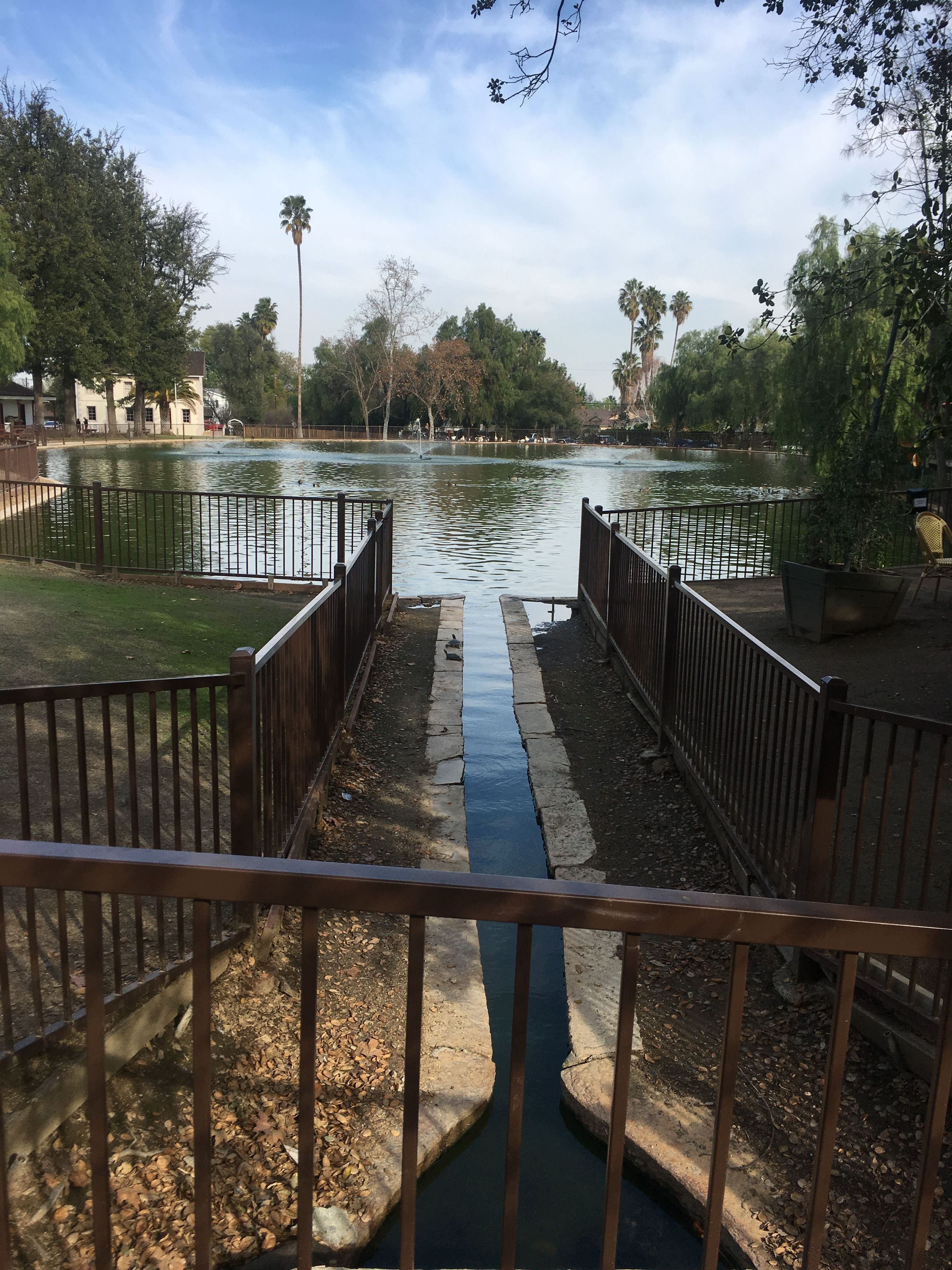 Guitar shaped pond