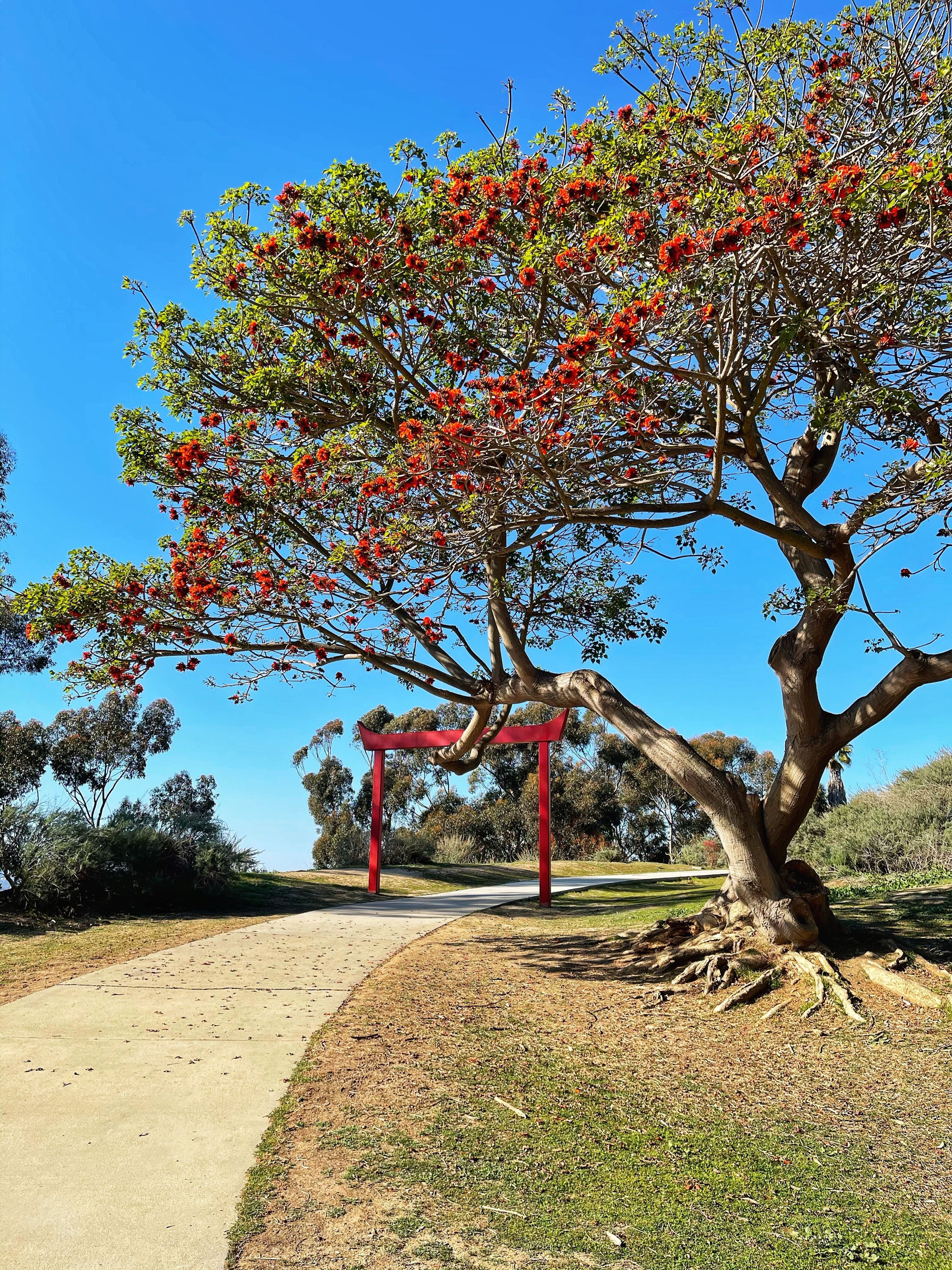 Japanese Garden at Kenneth Hahn