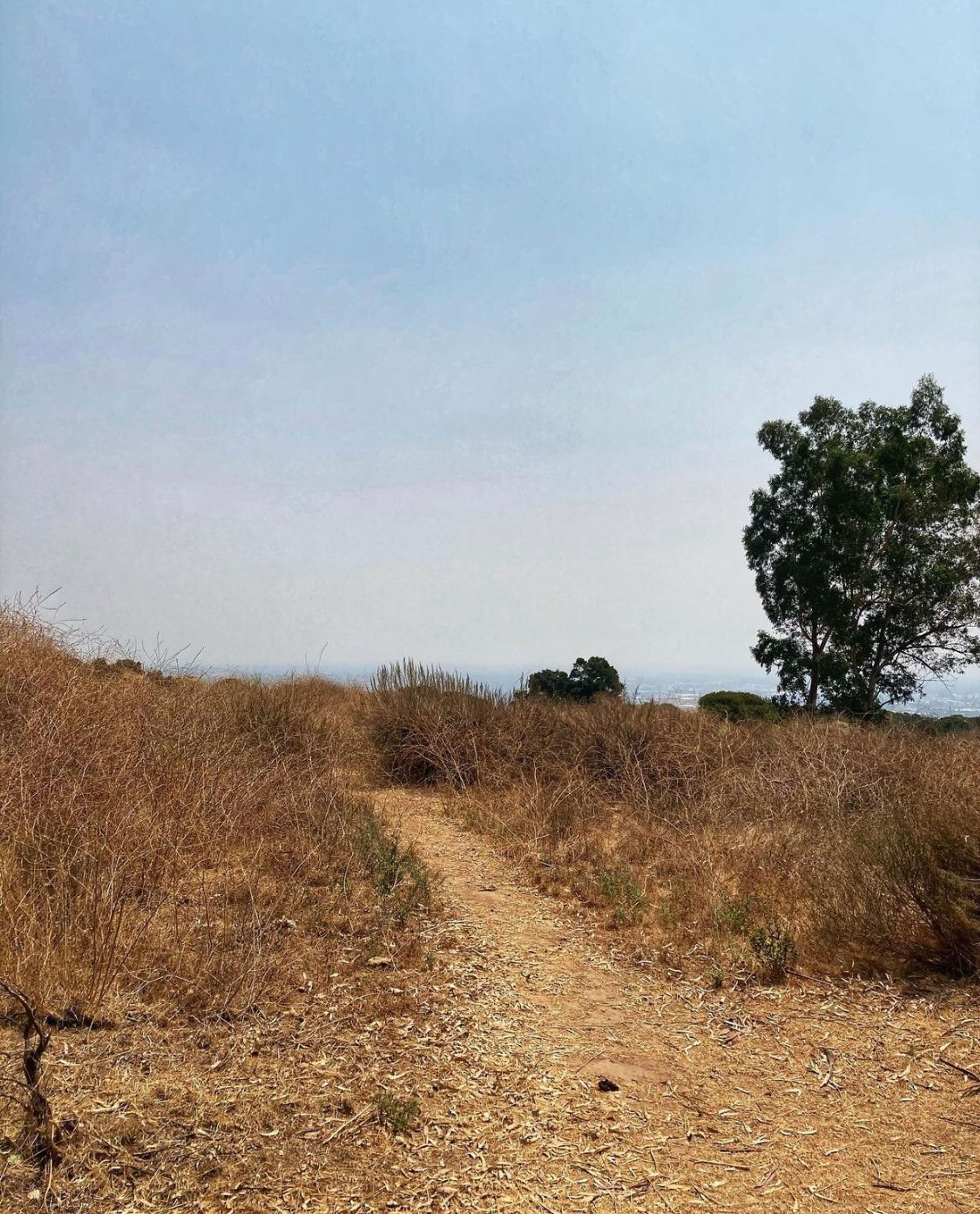 Santa Susana Trails