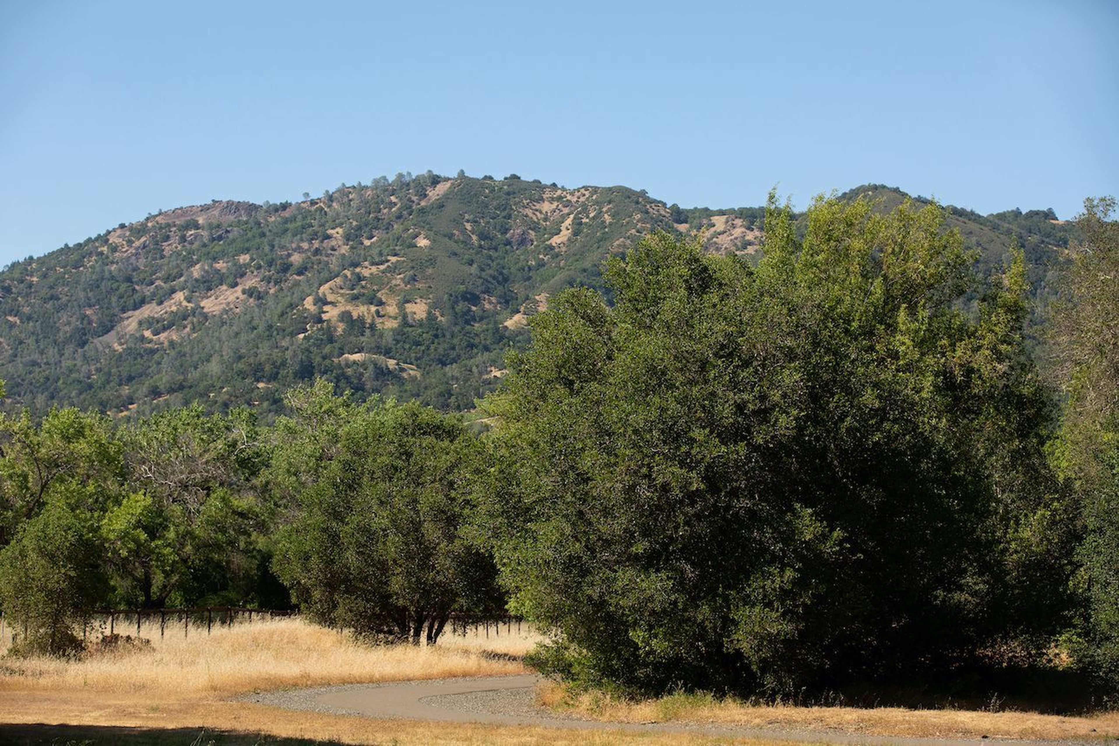 Cloverdale River Park - River Park Trail