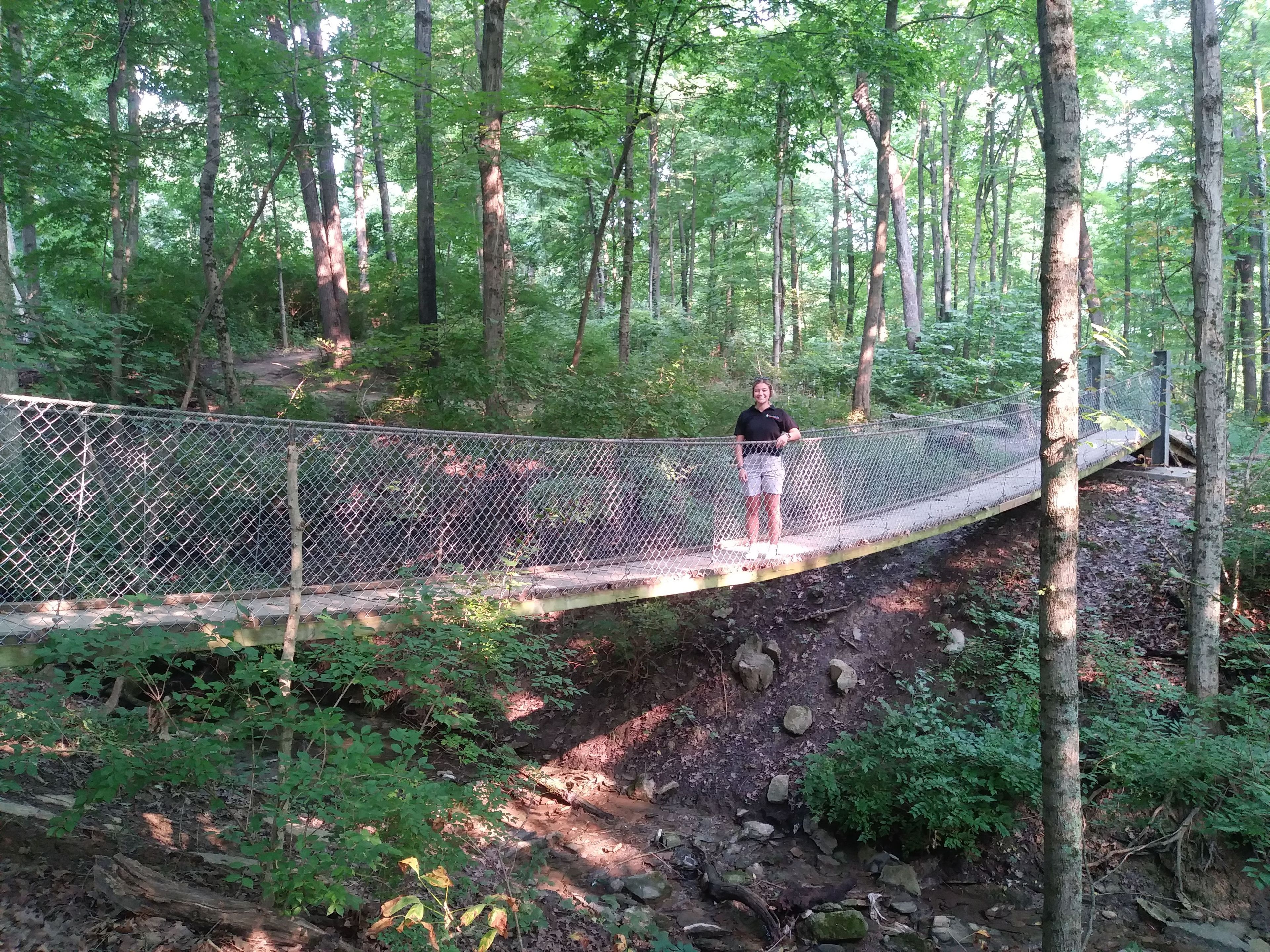 Rentschler Cascade Bridge