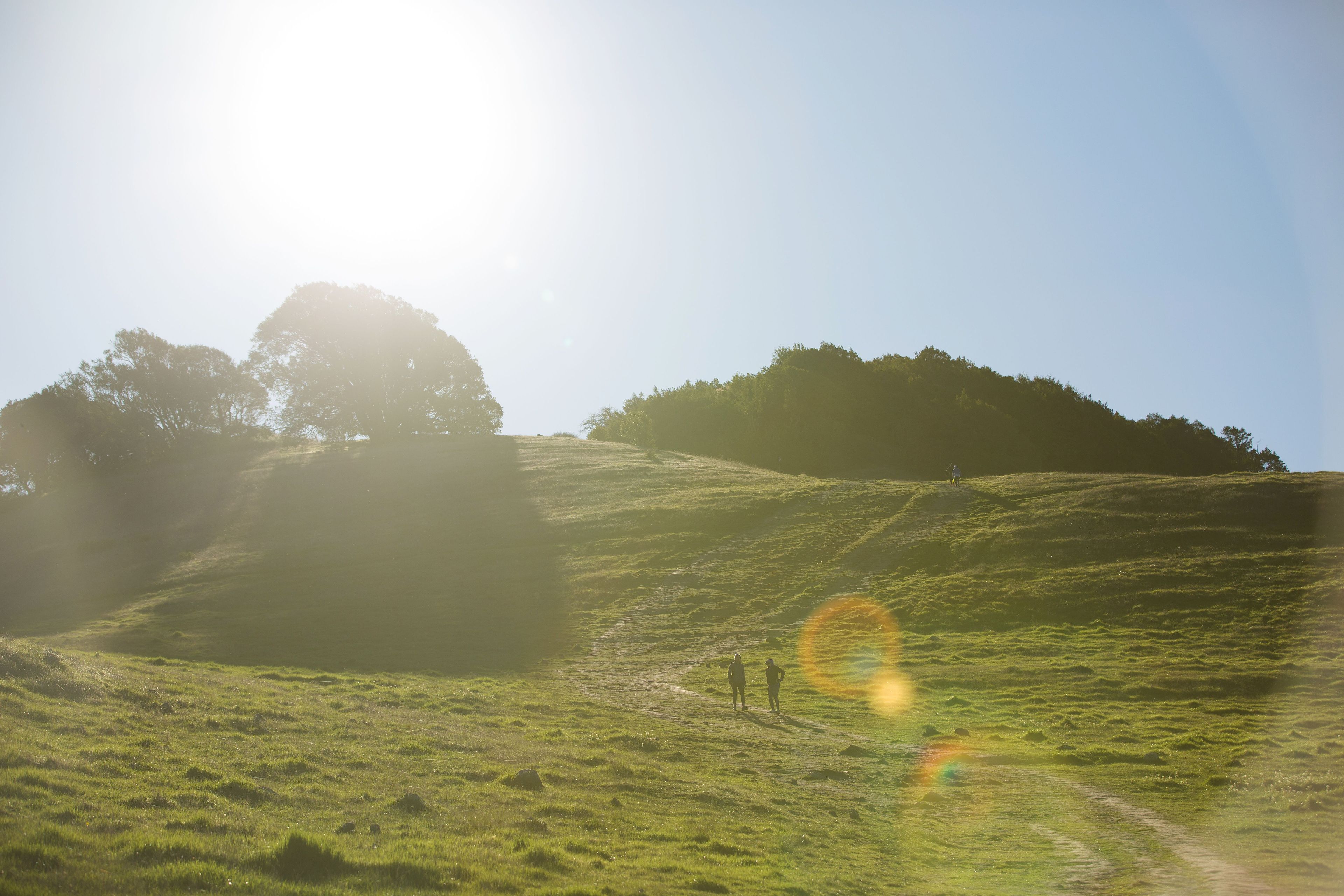 Taylor Mountain Regional Park 