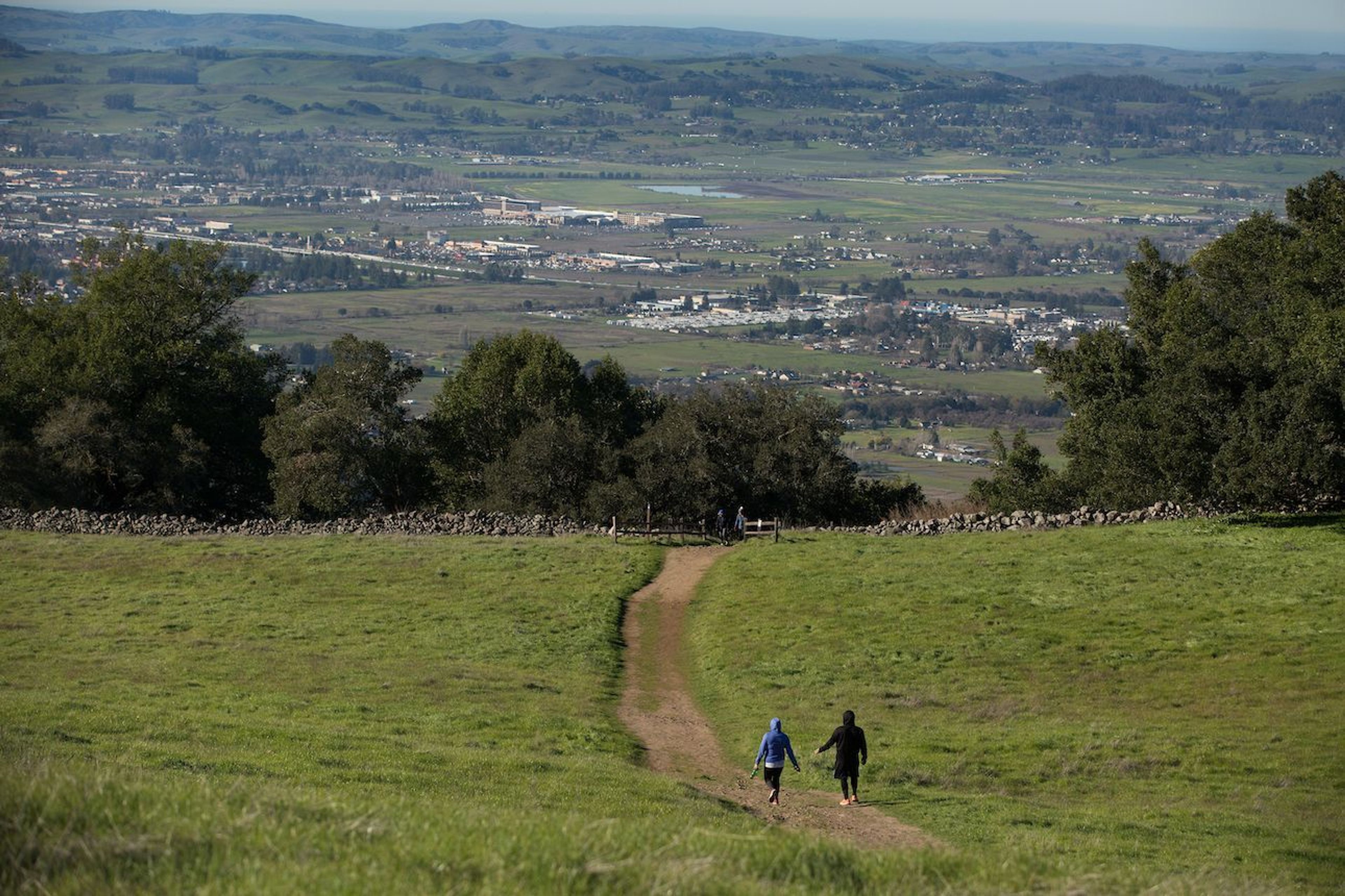 Taylor Mountain Regional Park - Western Route with views