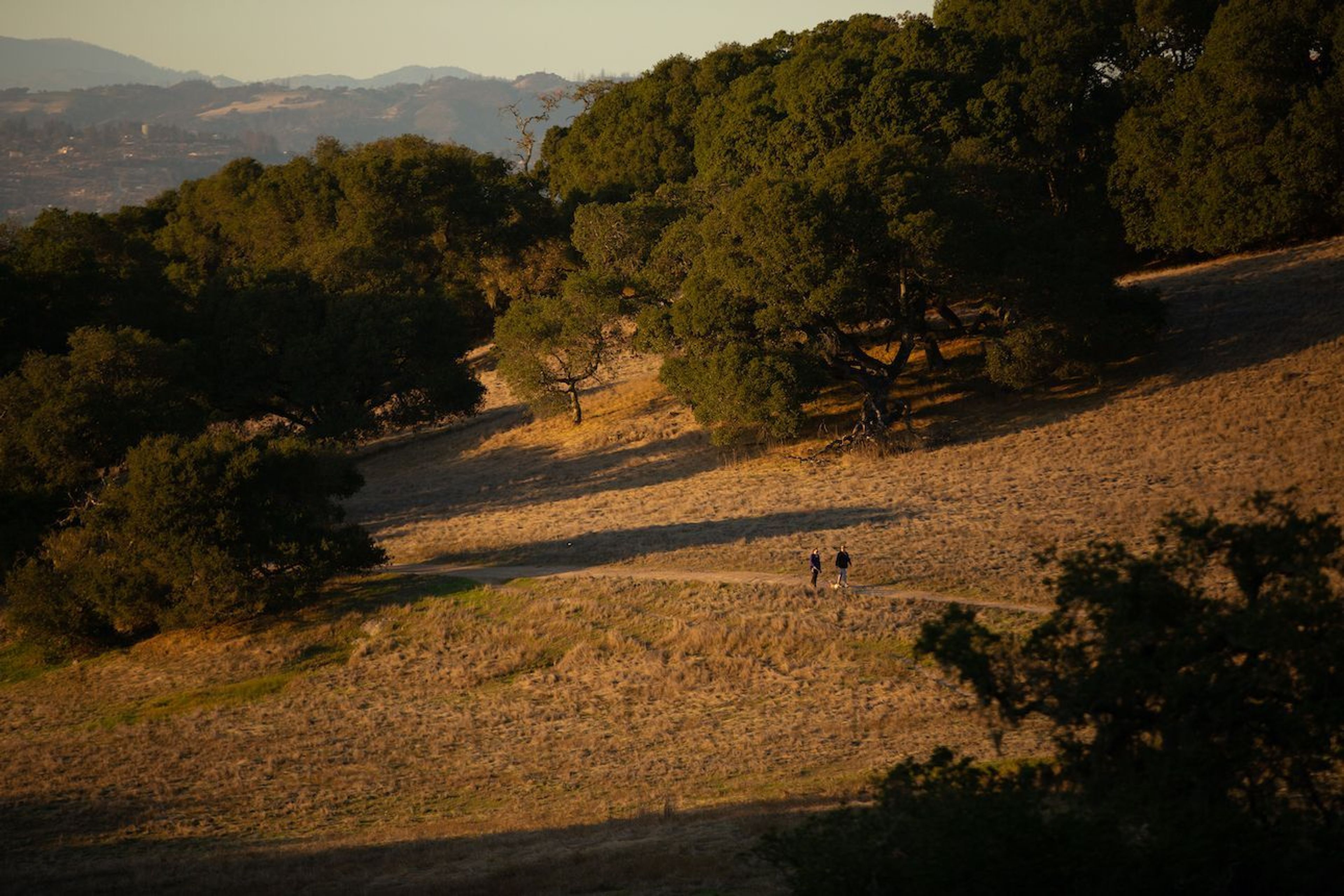 Taylor Mountain Regional Park - at sunset