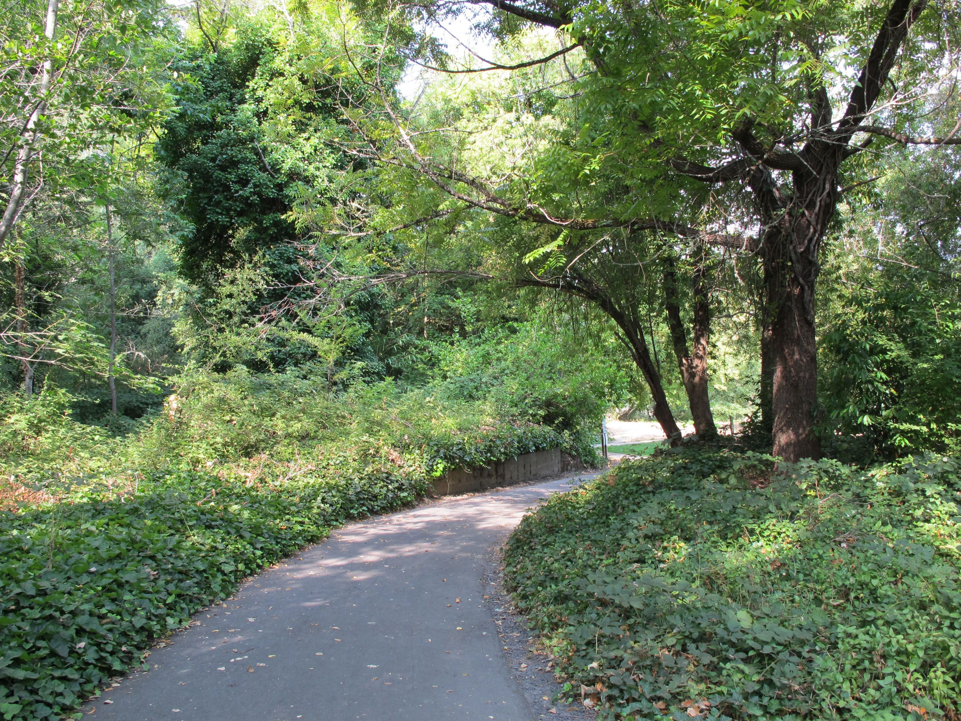 Guerneville River Park - walking paths