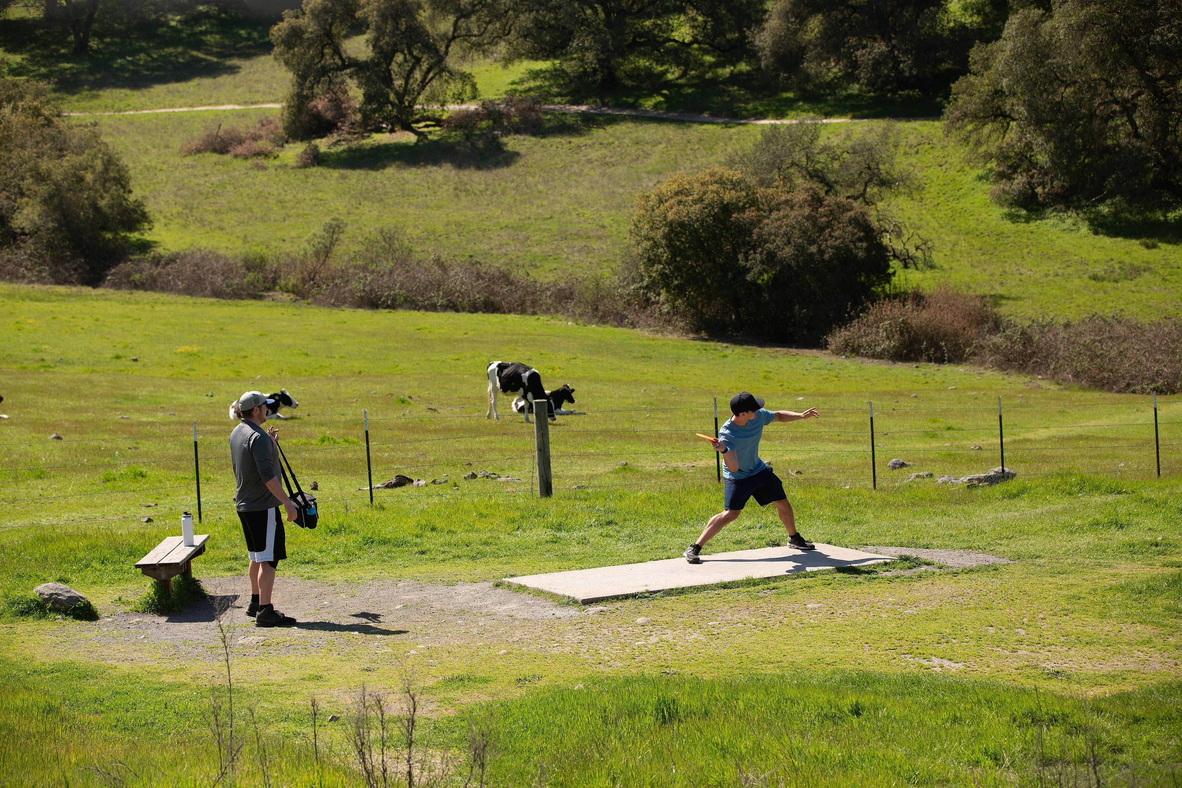 Taylor Mountain Regional Park - Disc golf course