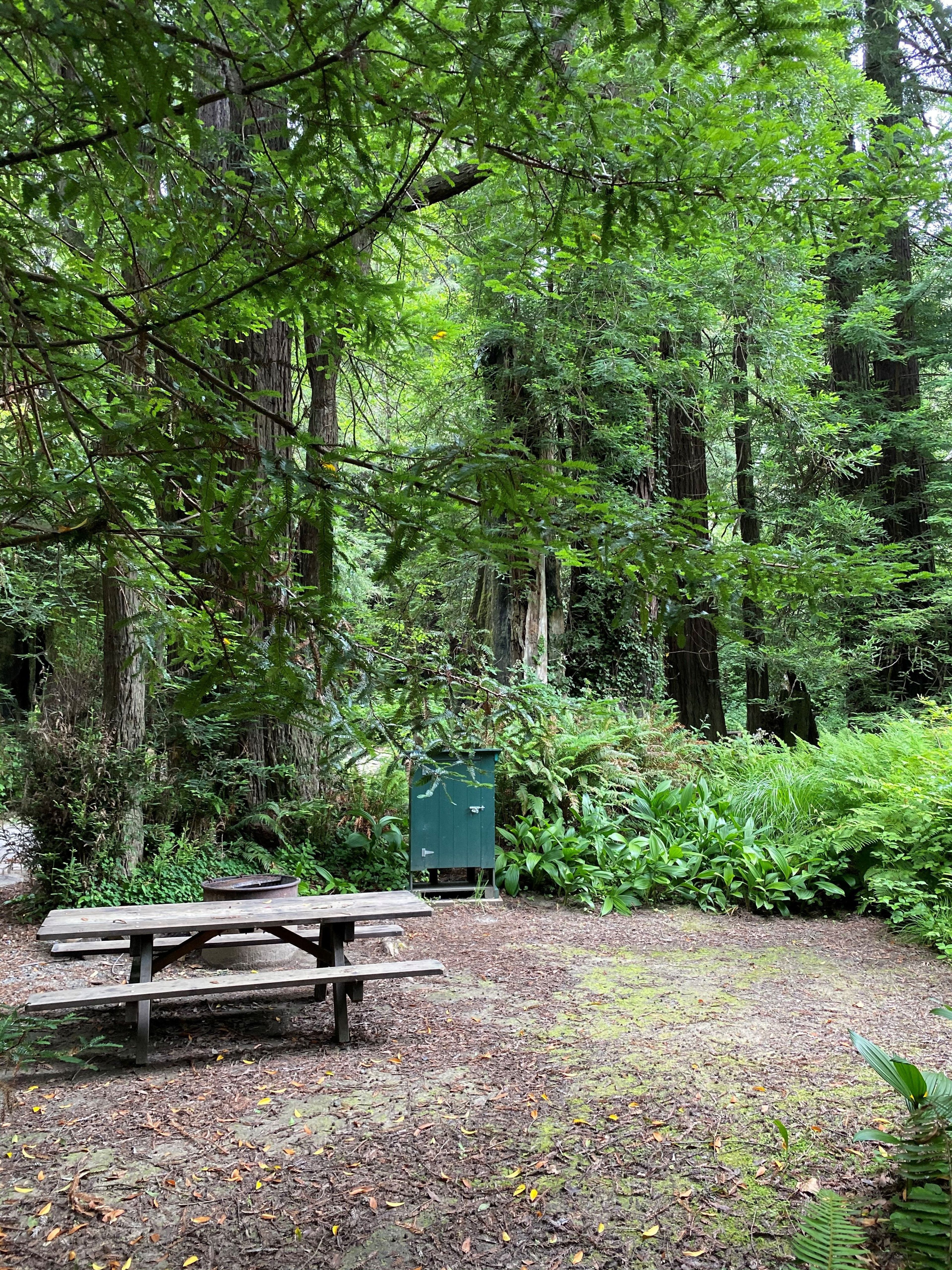 Gualala Point Regional Park - campsite