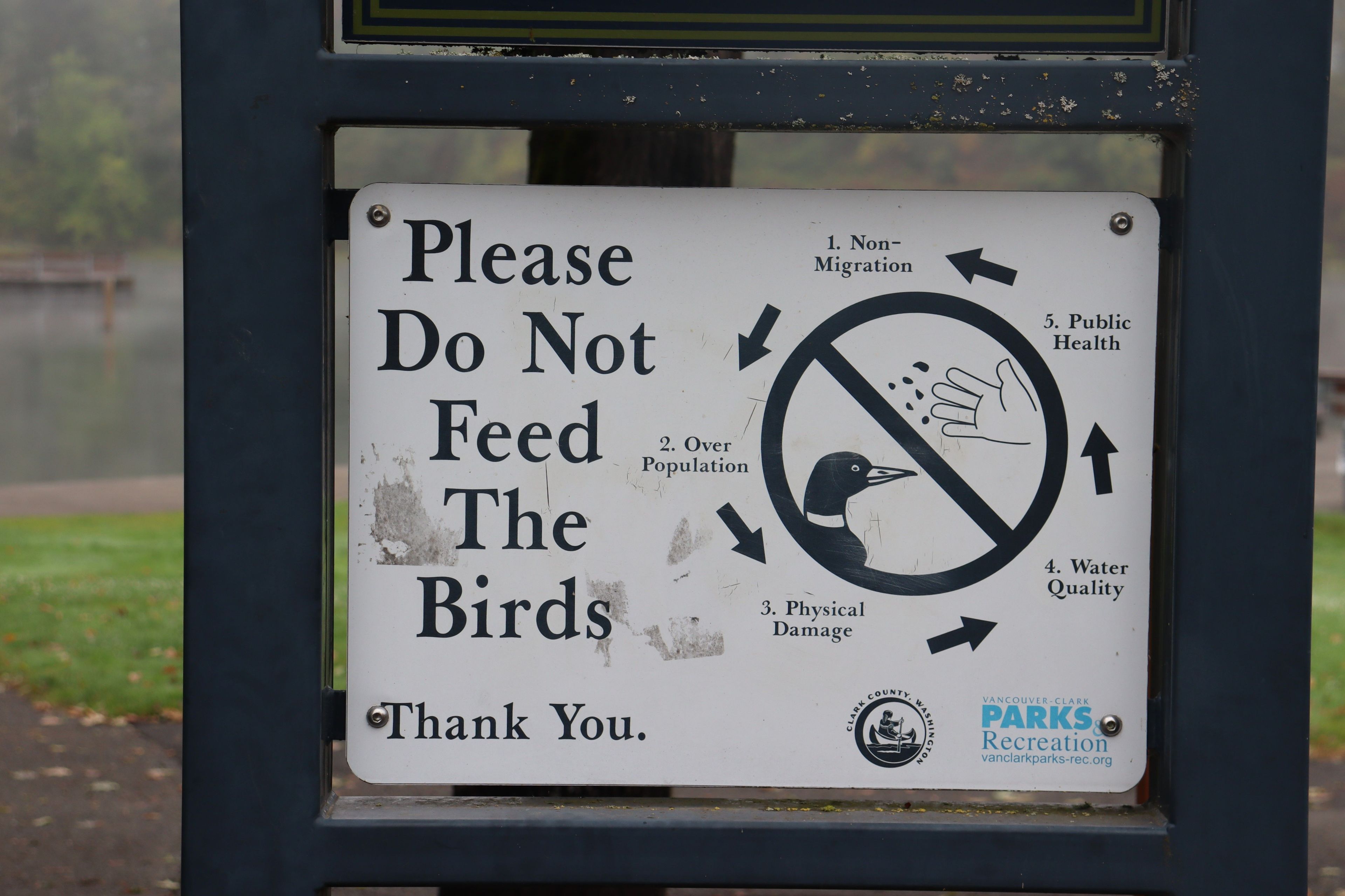 Signage that advises people not to feed the birds. 