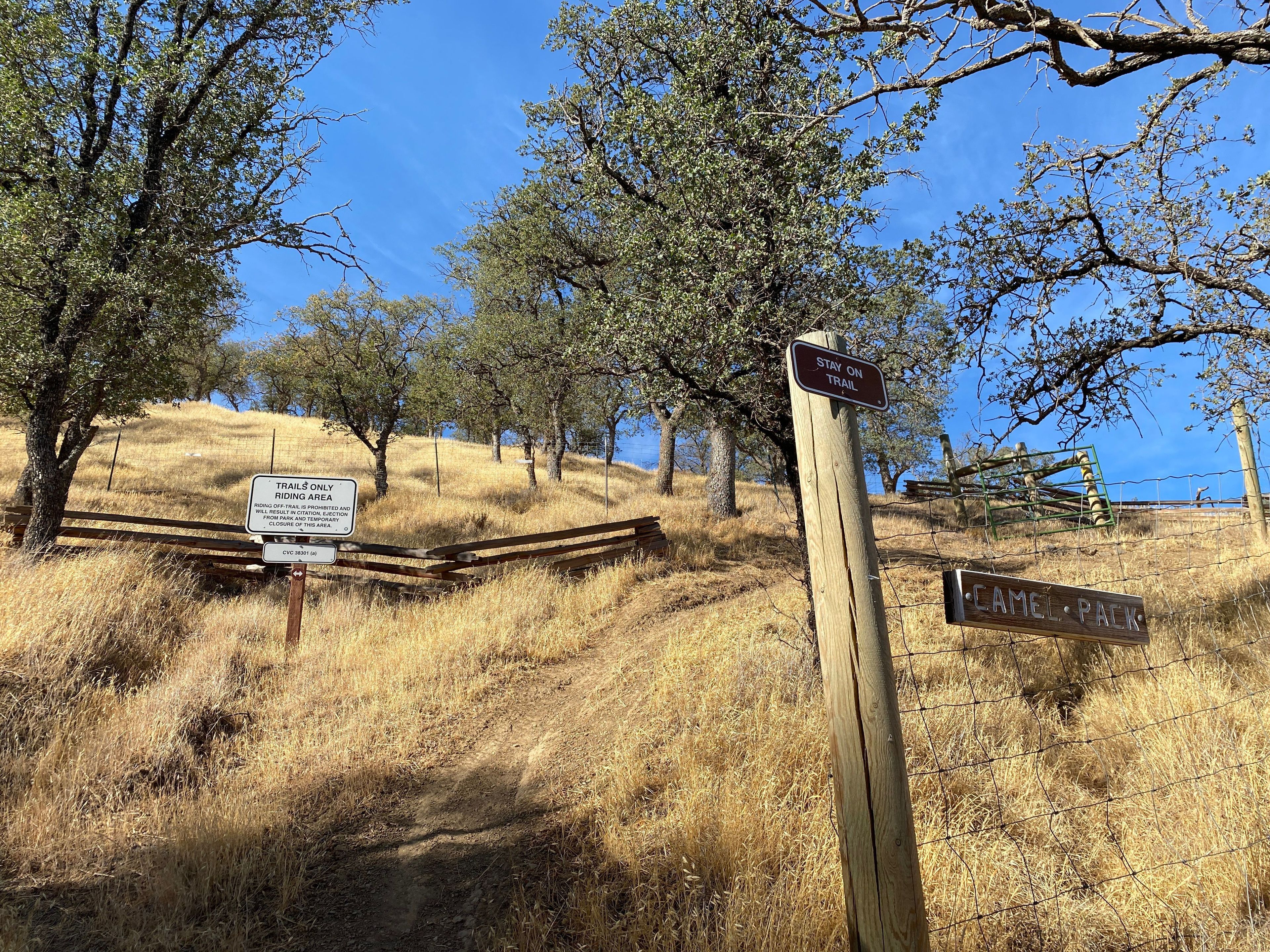 Camel Pack Trailhead on Los Osos, Black Diamond (Difficult)