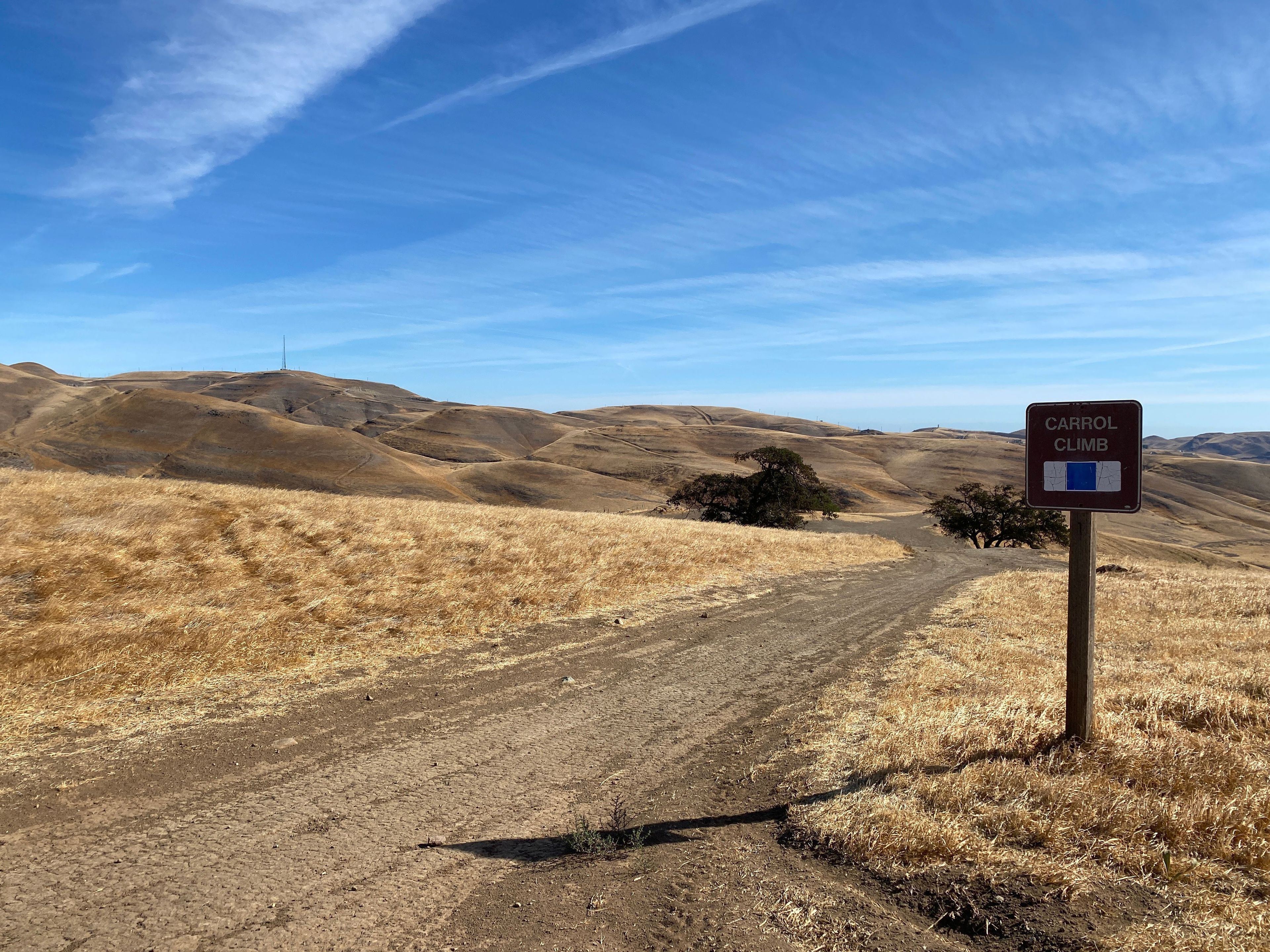 Carrol Climb Trailhead on Juniper, Blue Square Intermediate