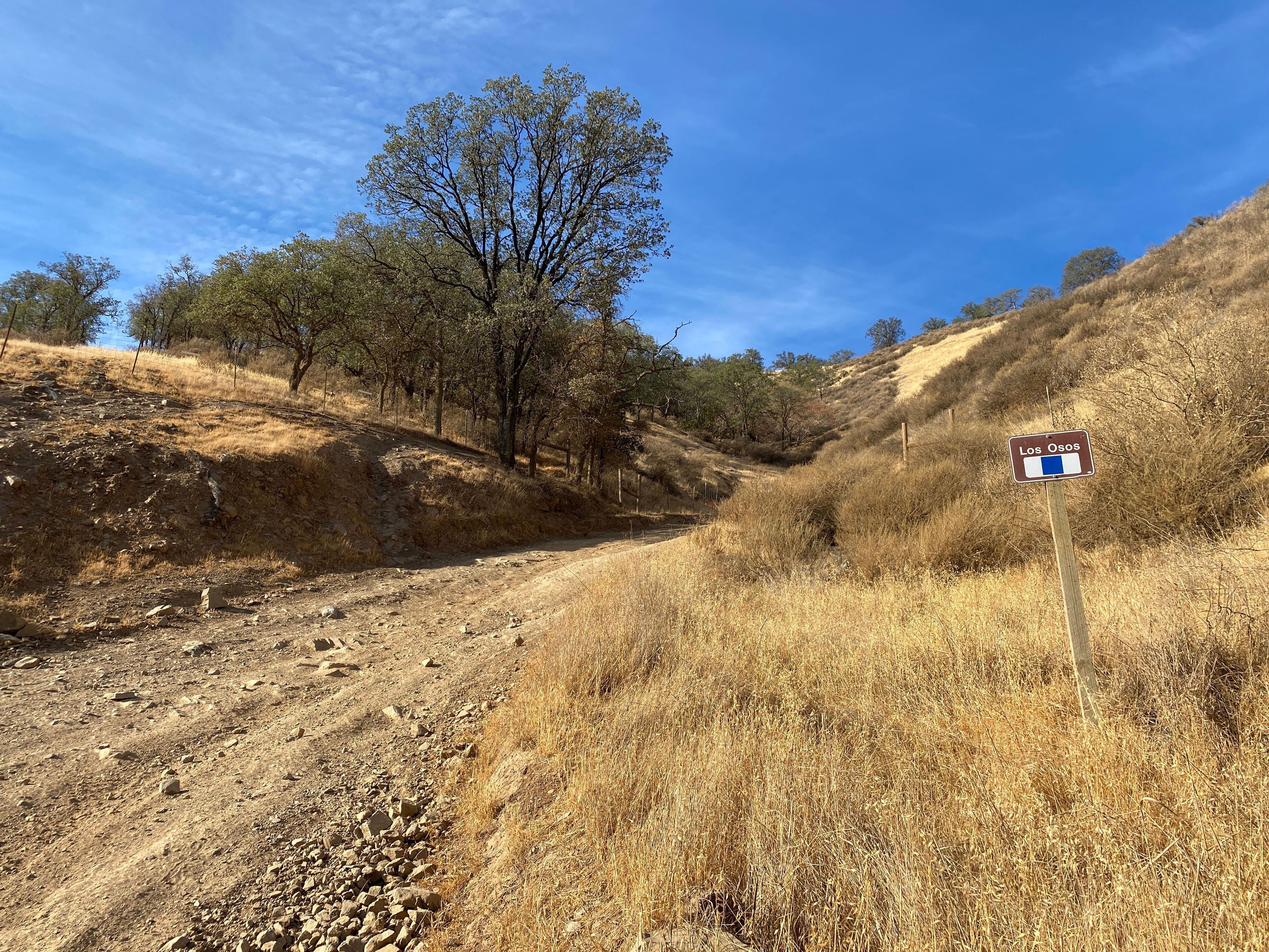 Los Osos Trailhead on Kiln Canyon, Blue Square Intermediate