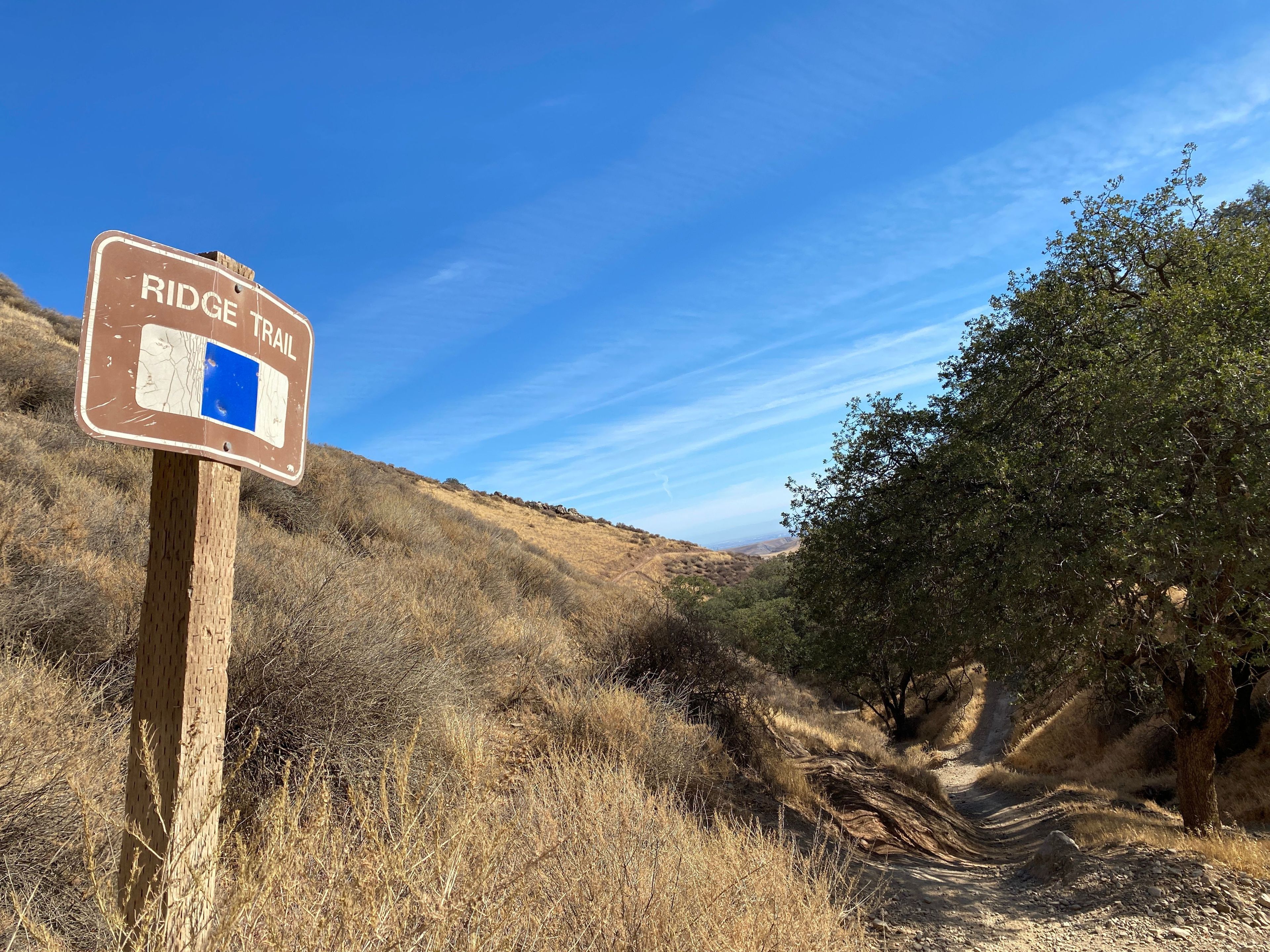 Ridge Trailhead on Los Osos, Blue Square Intermediate