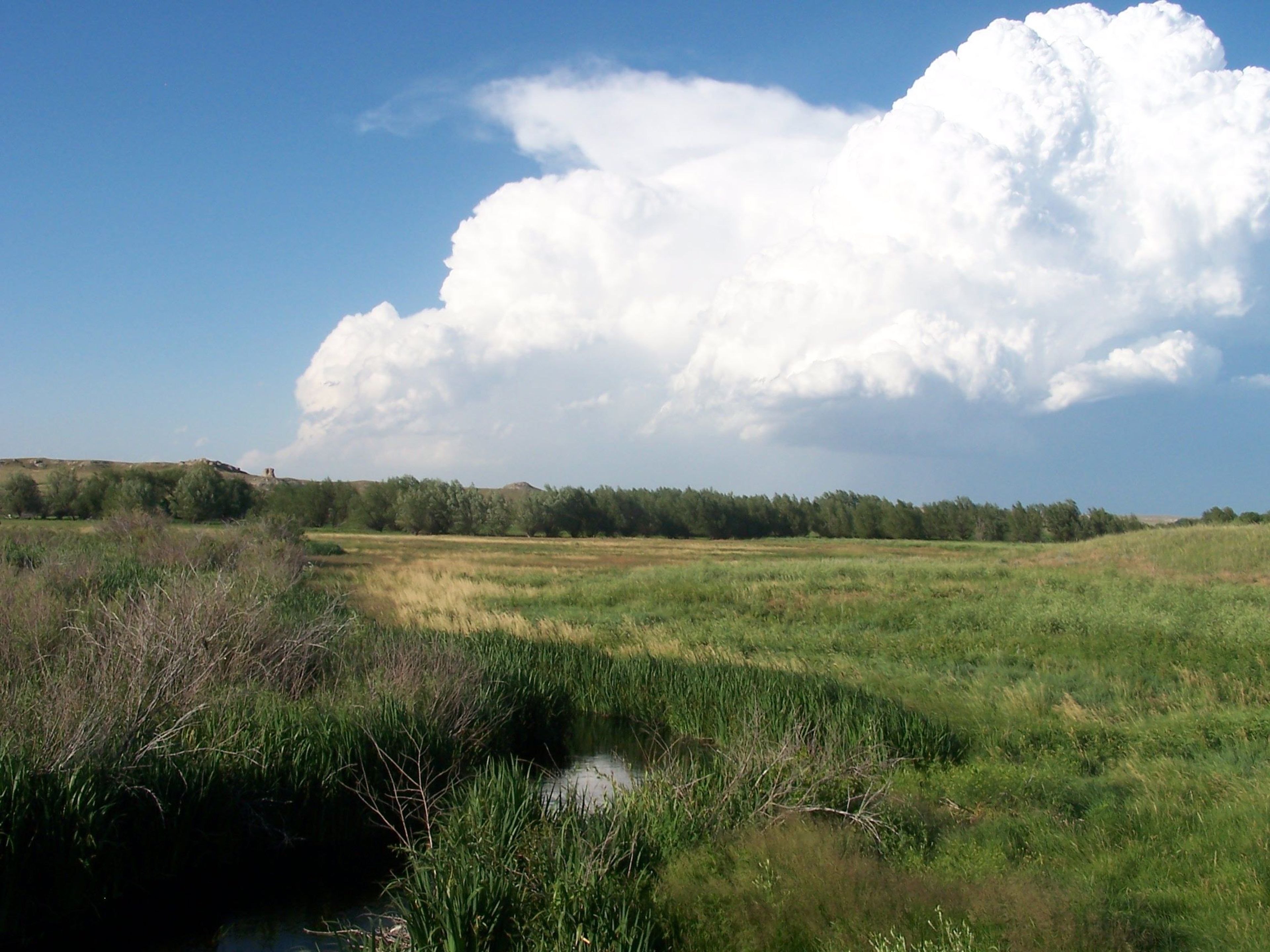 Summer storms include thunderheads and lightning and can be exciting and dangerous.