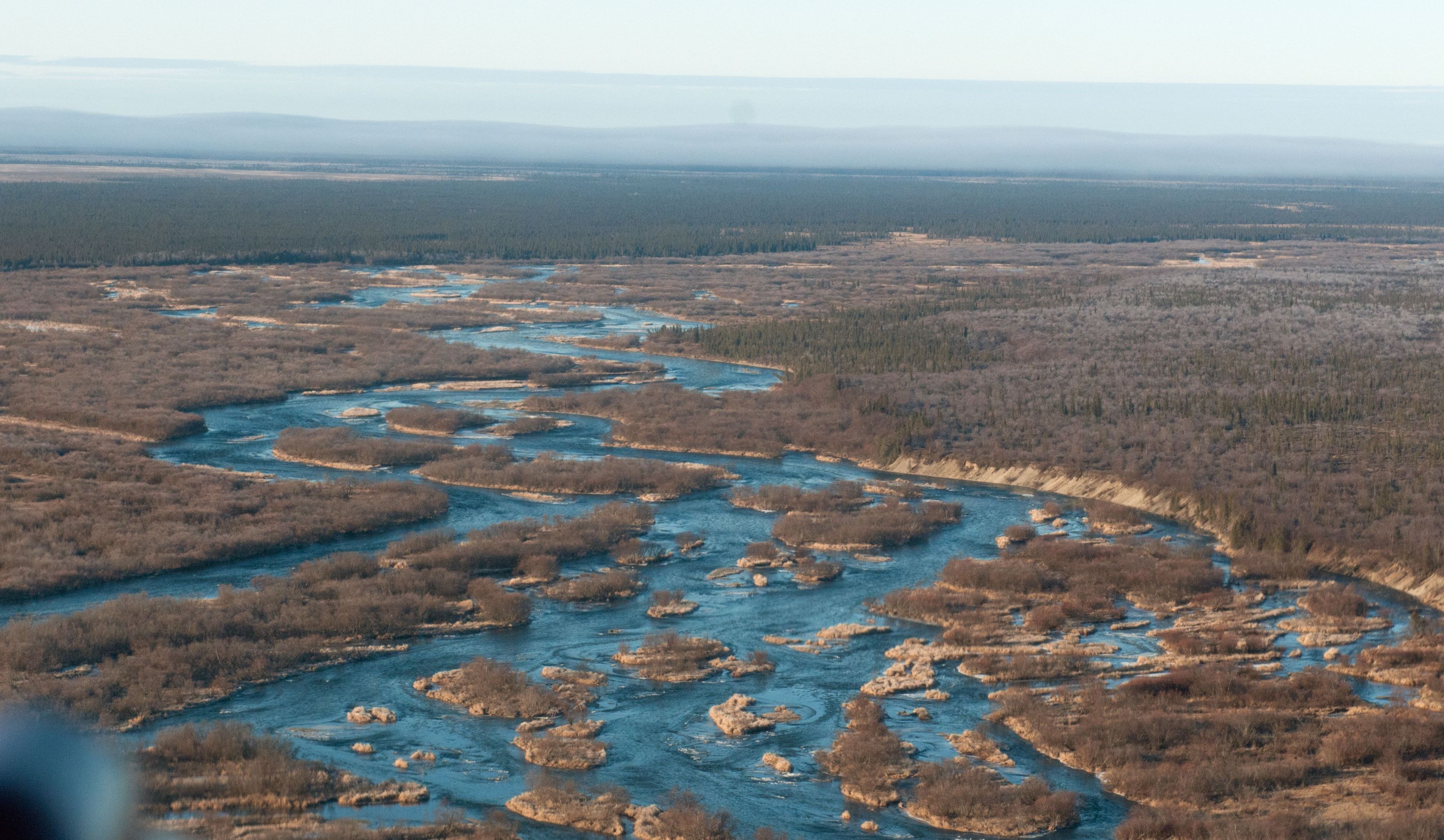 Alagnak River's lower reaches are extremely braided.