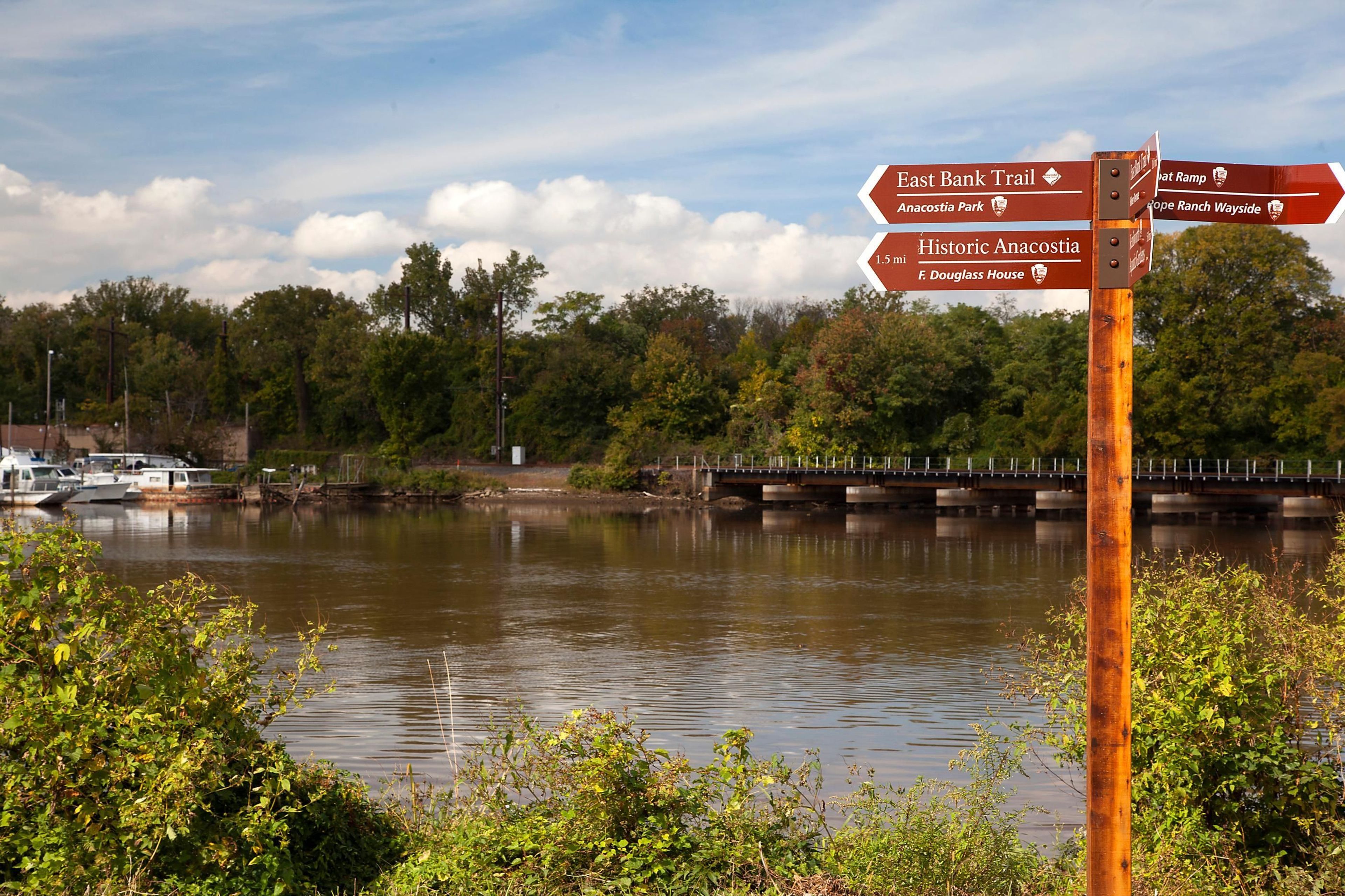 The Anacostia River trail is a wonderful paved trail that is great for biking, jogging and walking.