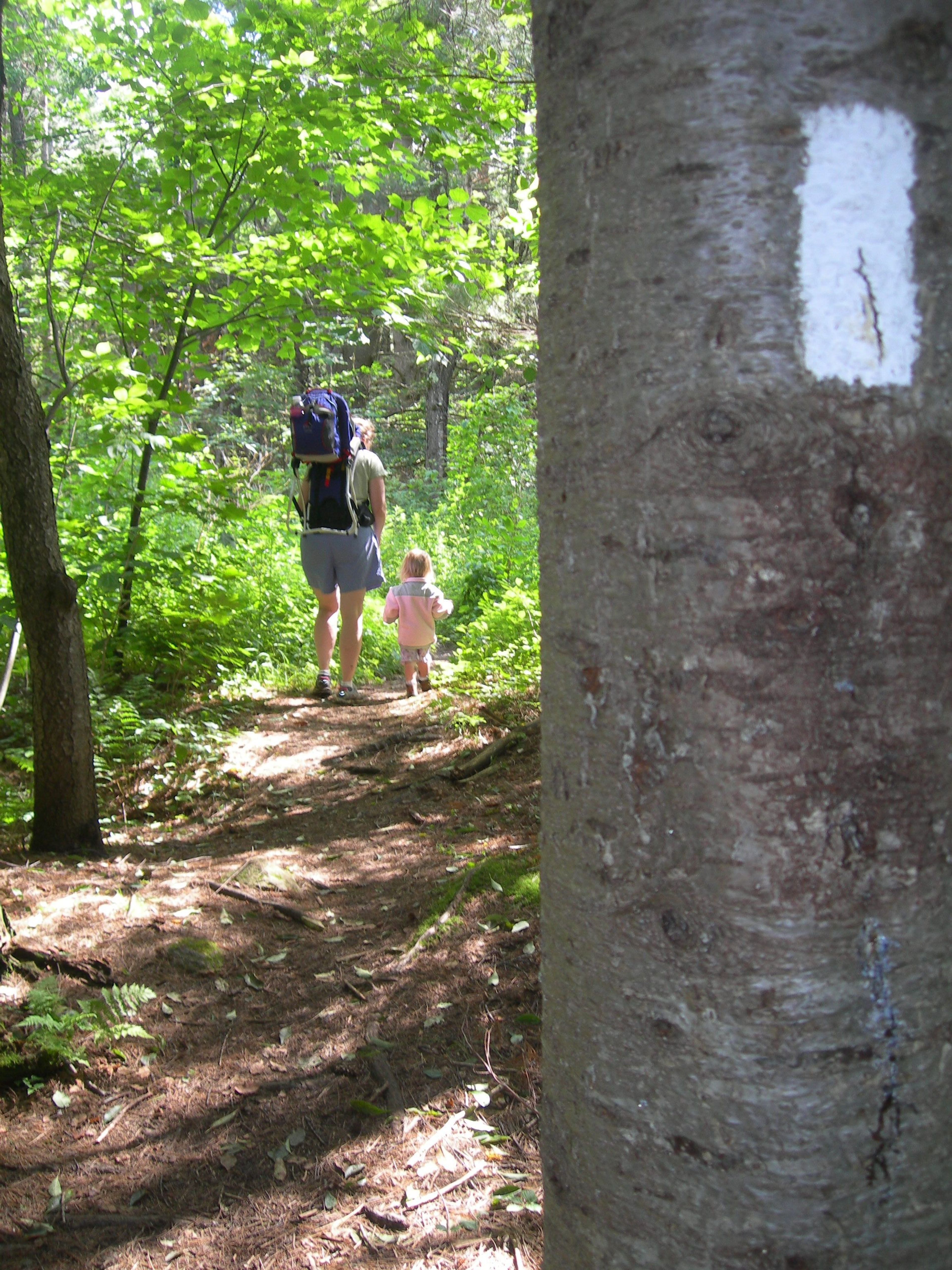 The white blaze marks the Appalachian Trail as a way for hikers to identify the route.