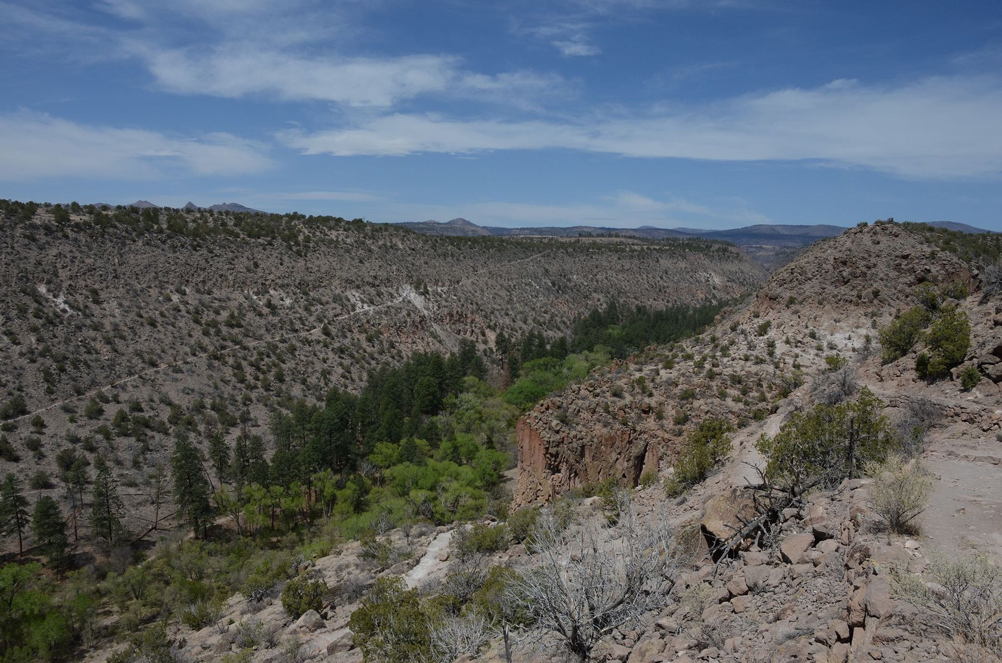 A view of Frijoles Canyon from the Frey Trail