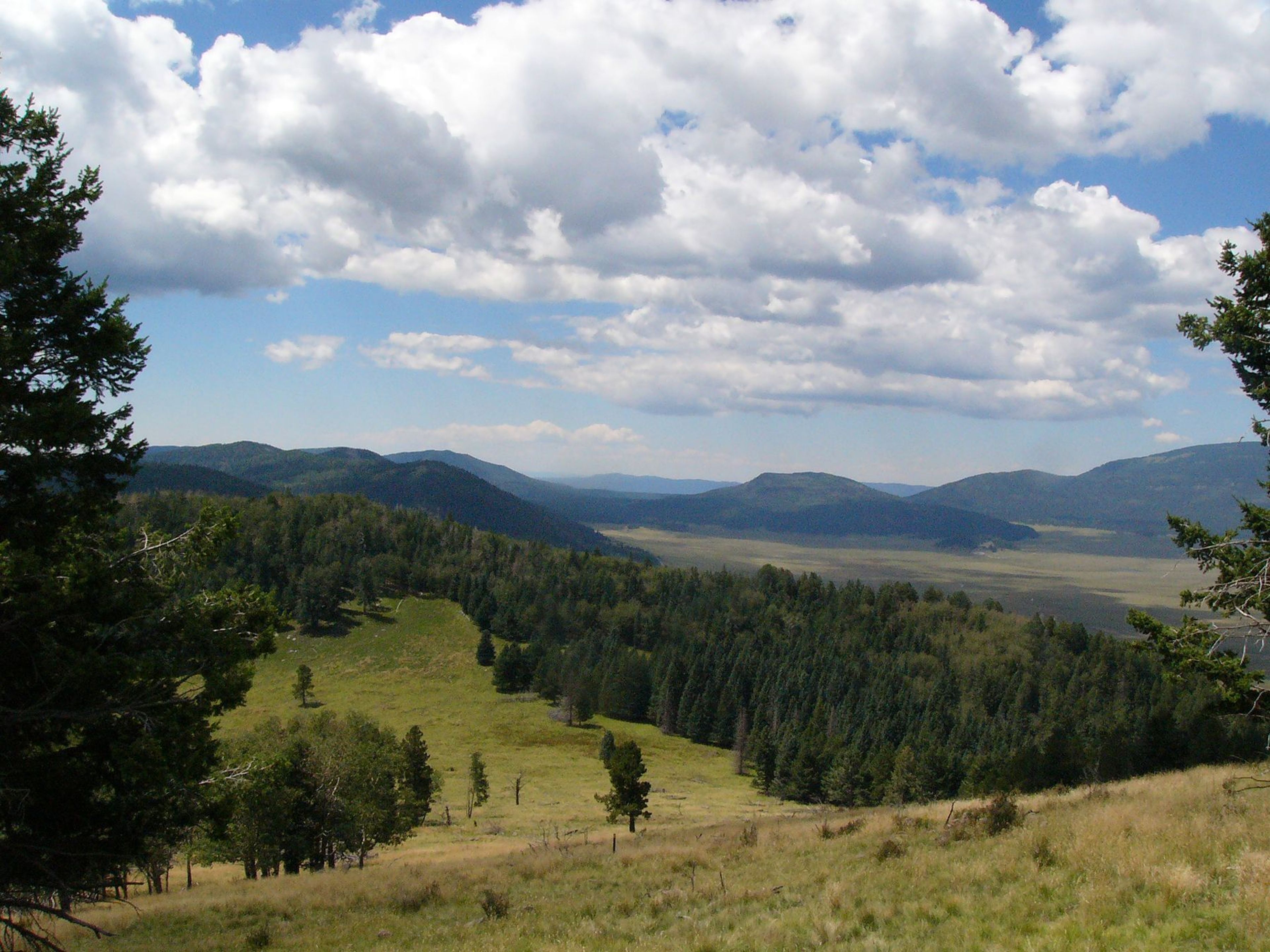 A view of the Valles Caldera from Cerro Grande, the highest point in Bandelier.