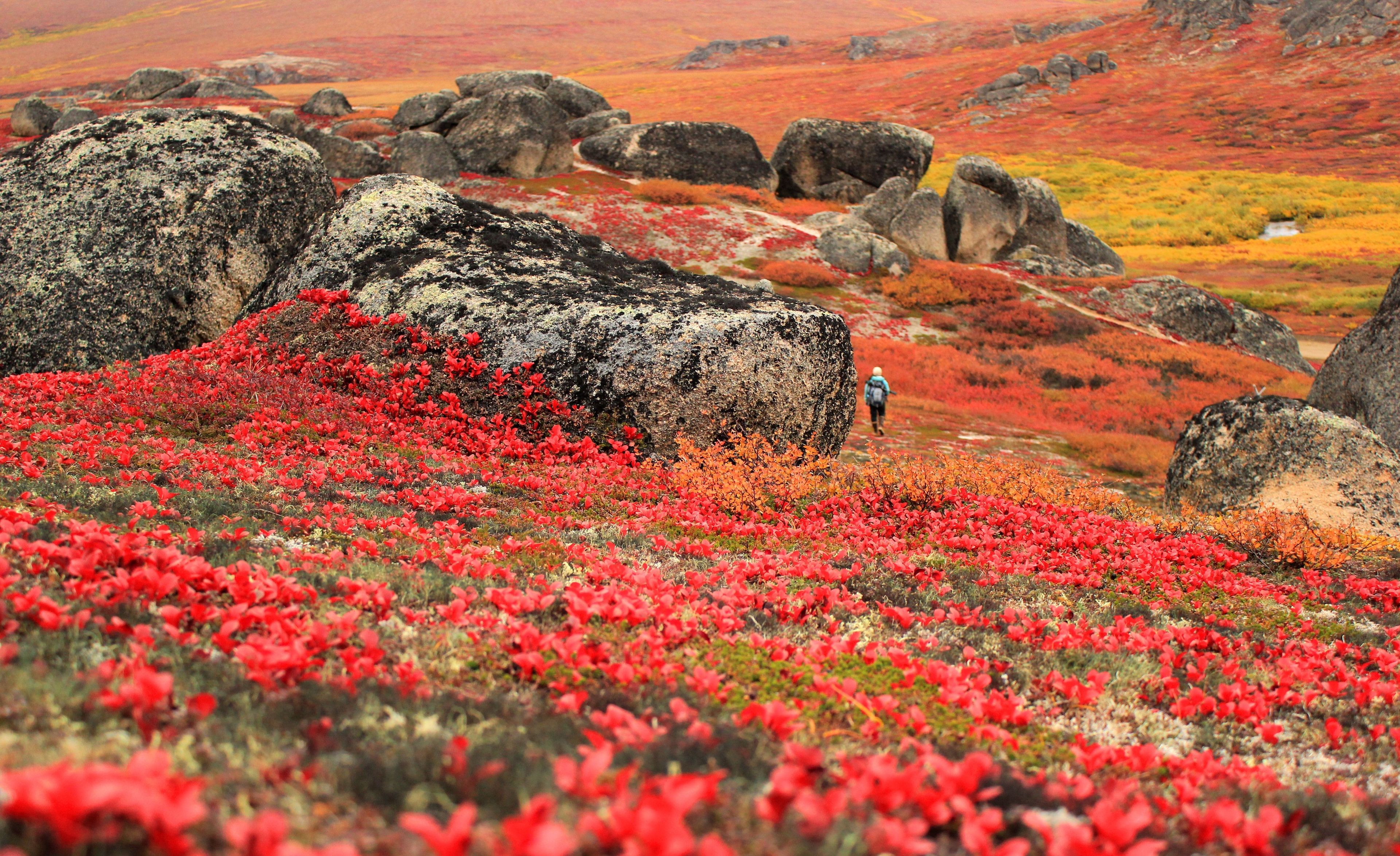 Autumn hike at Bering Land Bridge