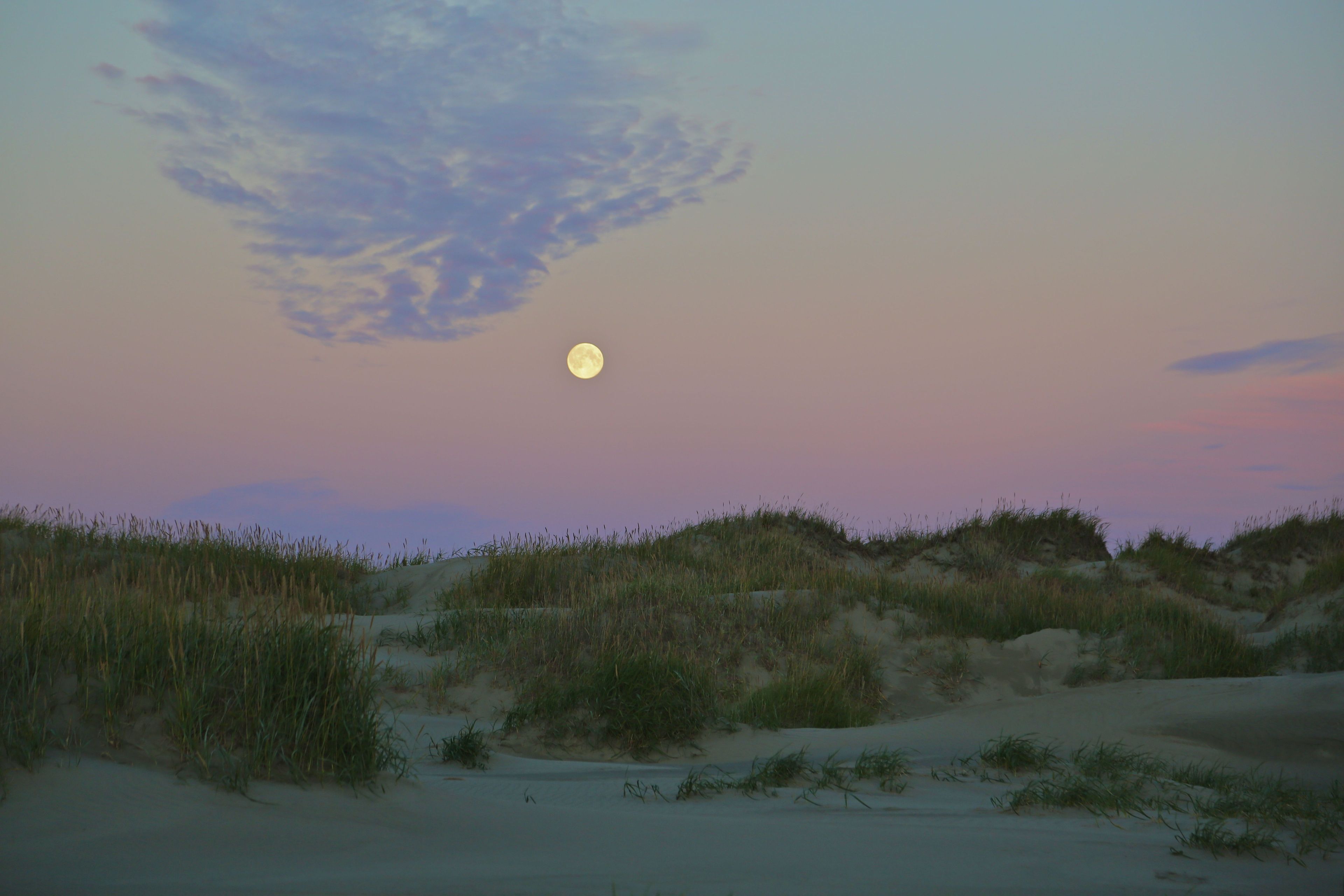 Coastal moon rise