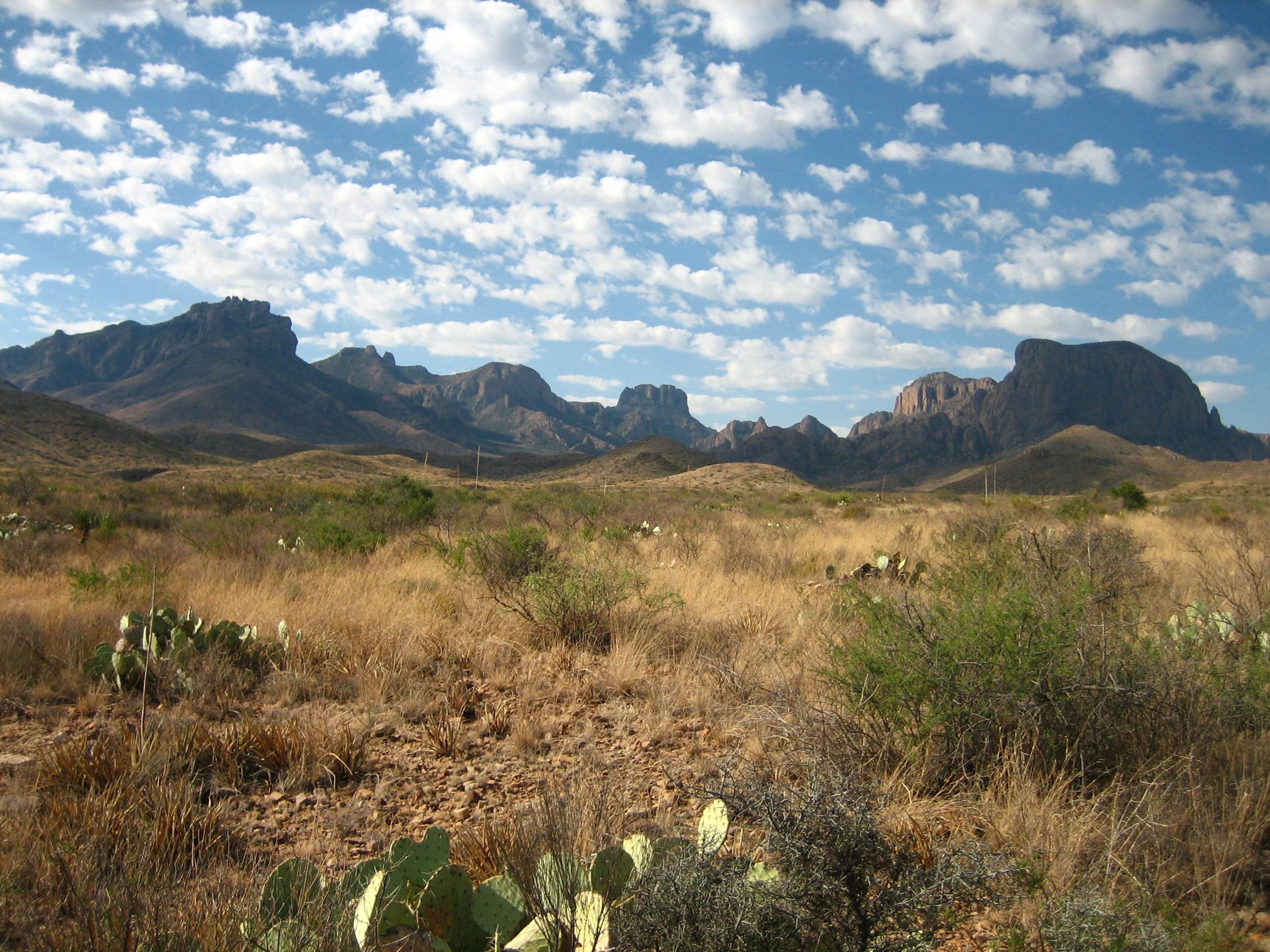 Big Bend is a prime example of Chihuahuan Desert