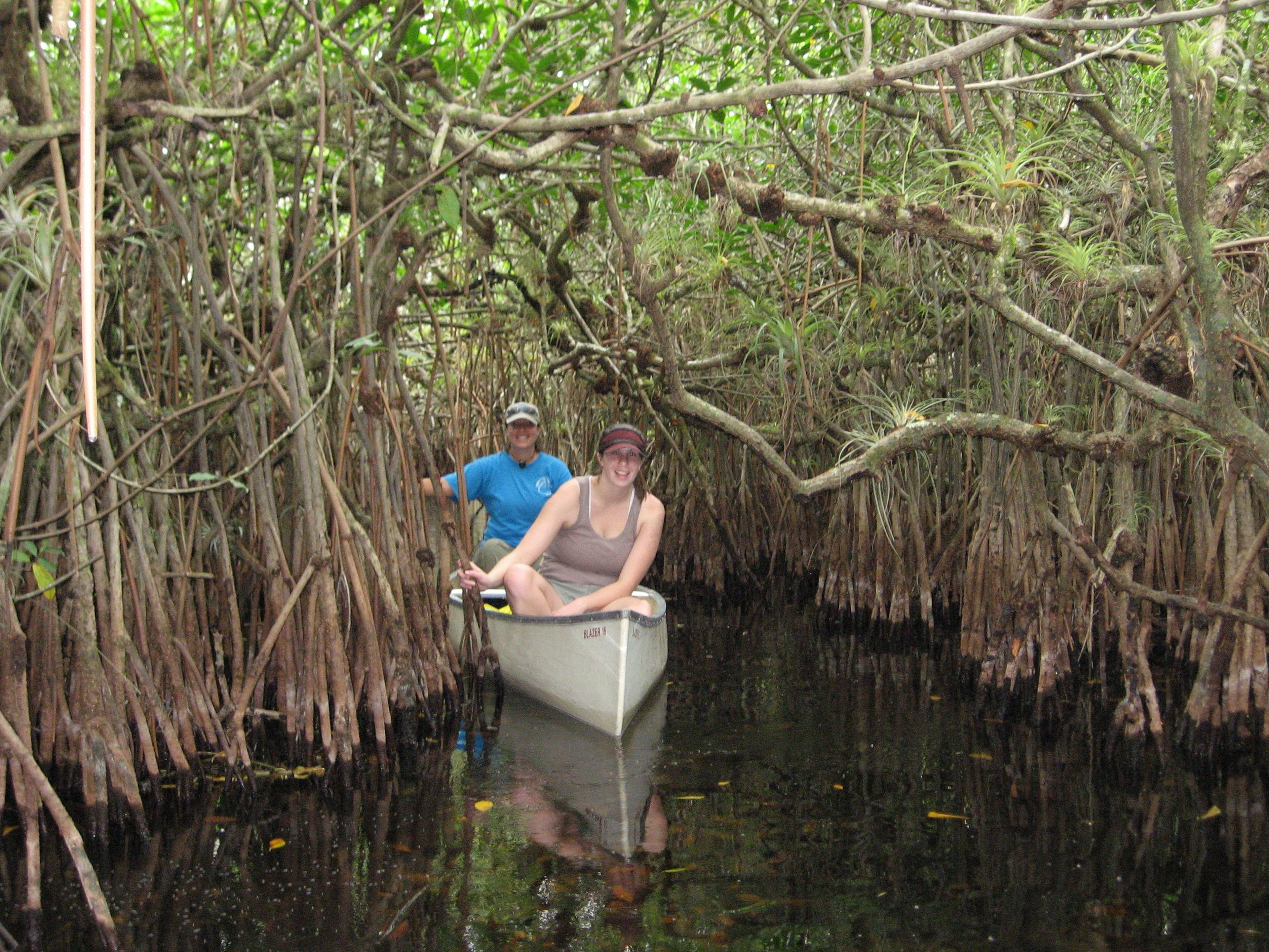 Canoeing is one of the many activities you can enjoy in Big Cypress