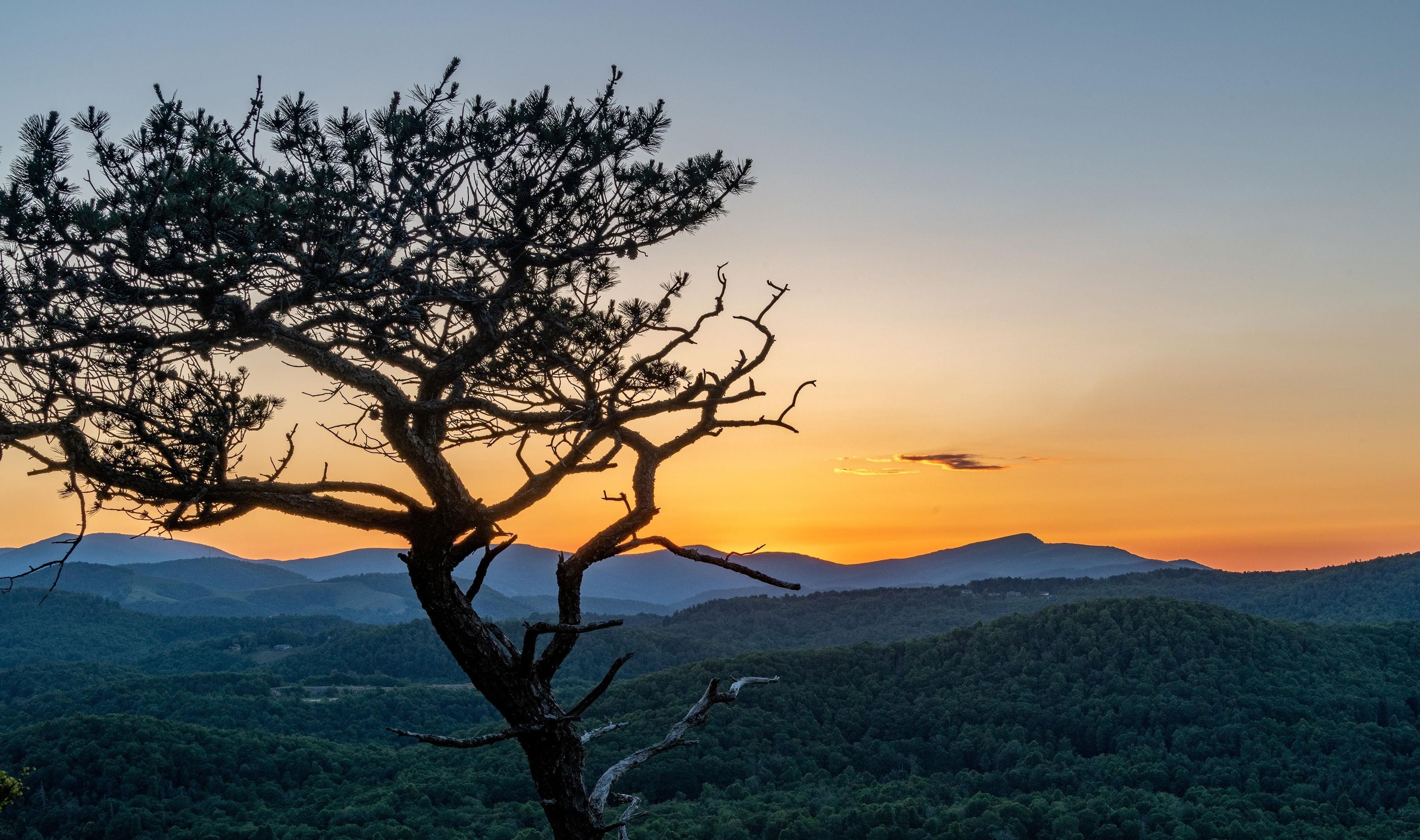 Evening on the Blue Ridge Parkway