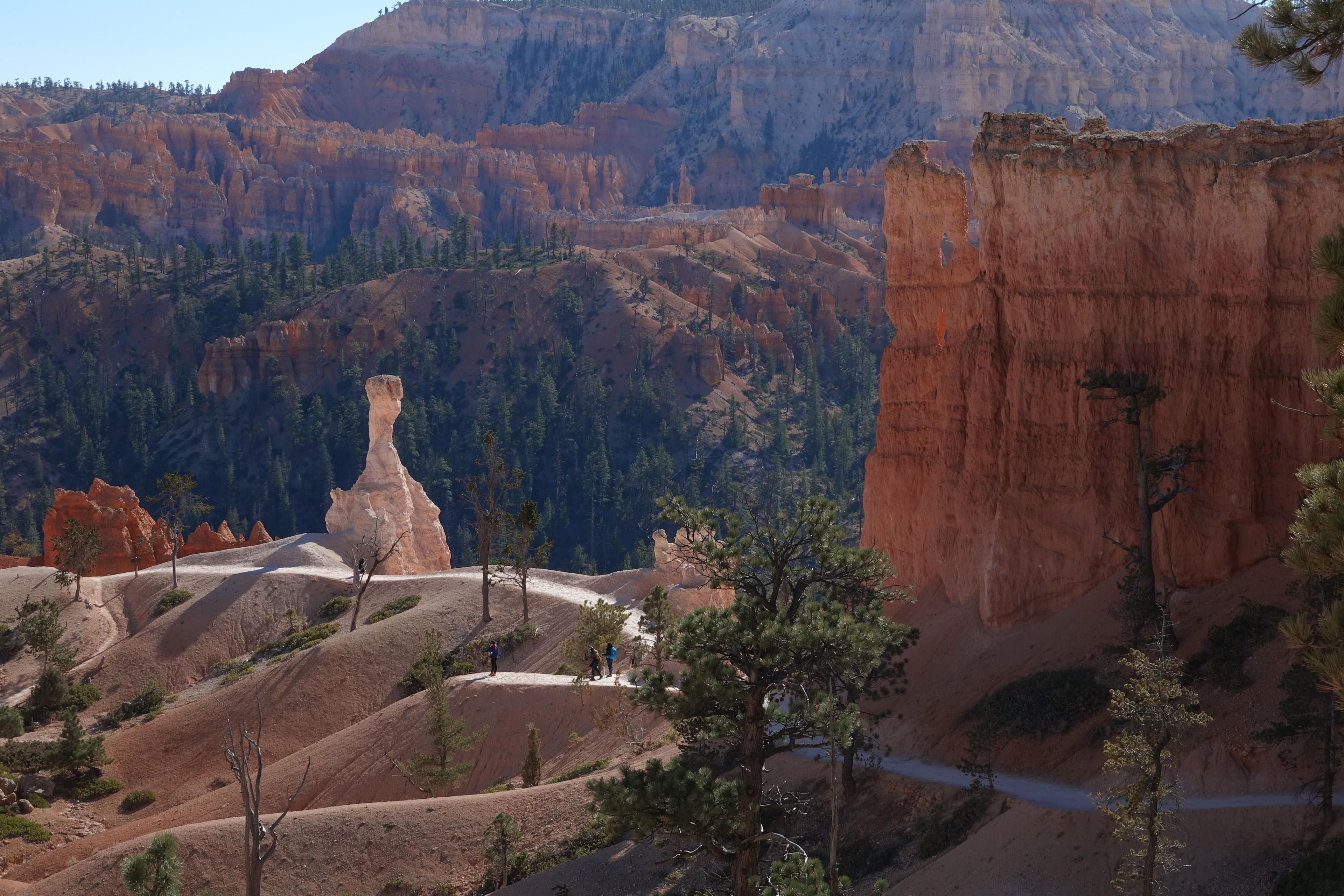 More strenuous trails below the rim provide up-close views of the hoodoo rock spires, while easier walks along the rim give perspective from above.