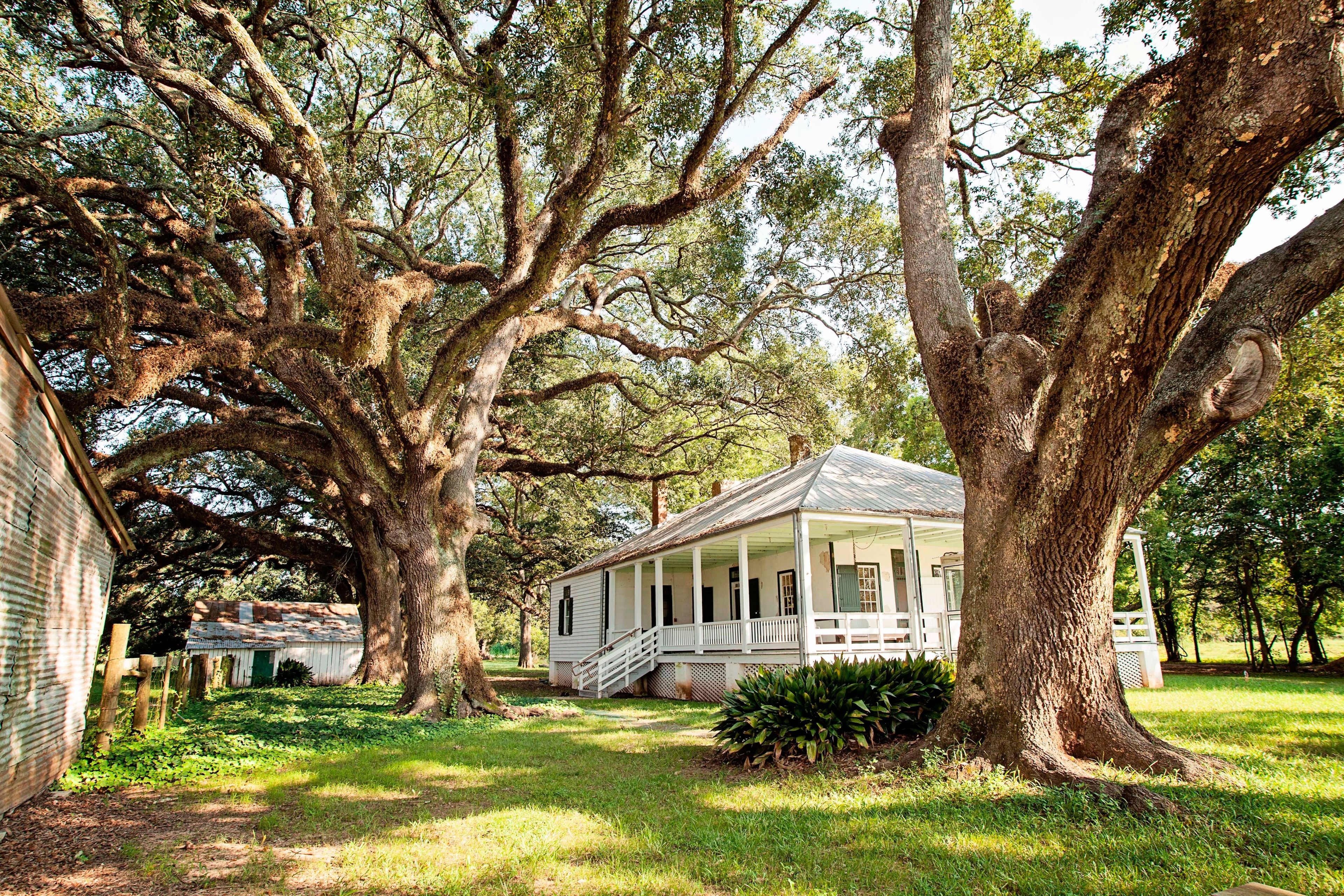 Originally built as a hospital for the enslaved workers on Magnolia Plantation, this raised Creole cottage also served as home to the plantation Overseer.