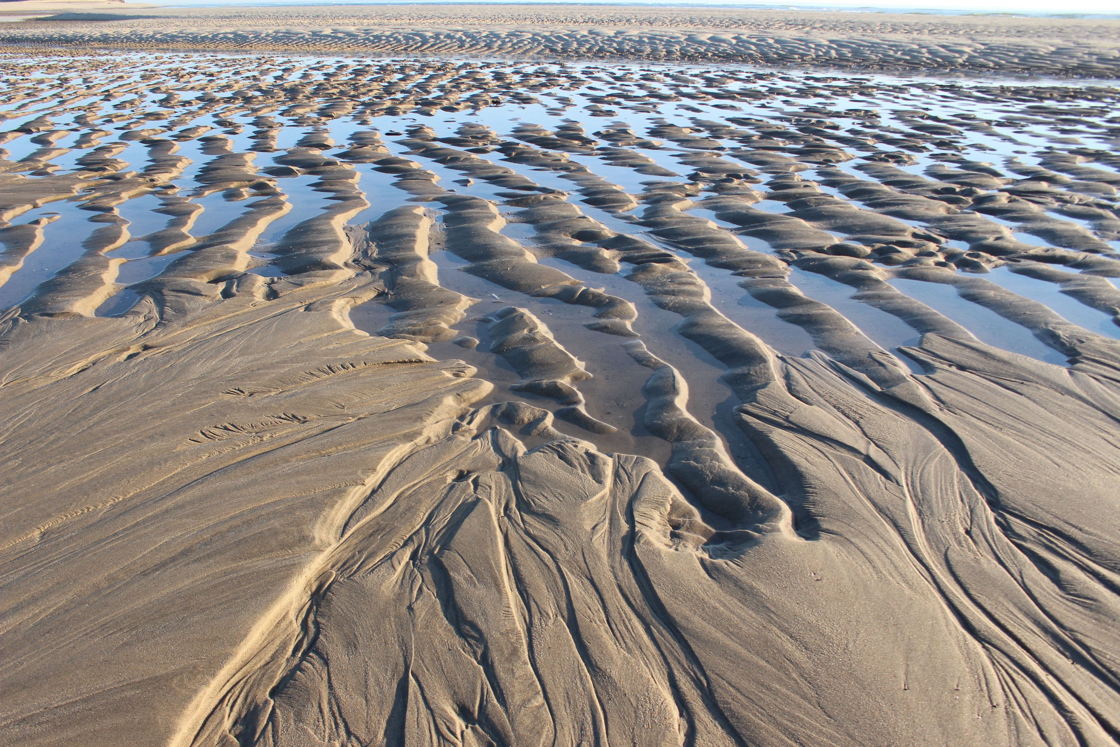 You will never walk the same beach twice on Cape Cod; daily low and high tides expose and then cover the sand.