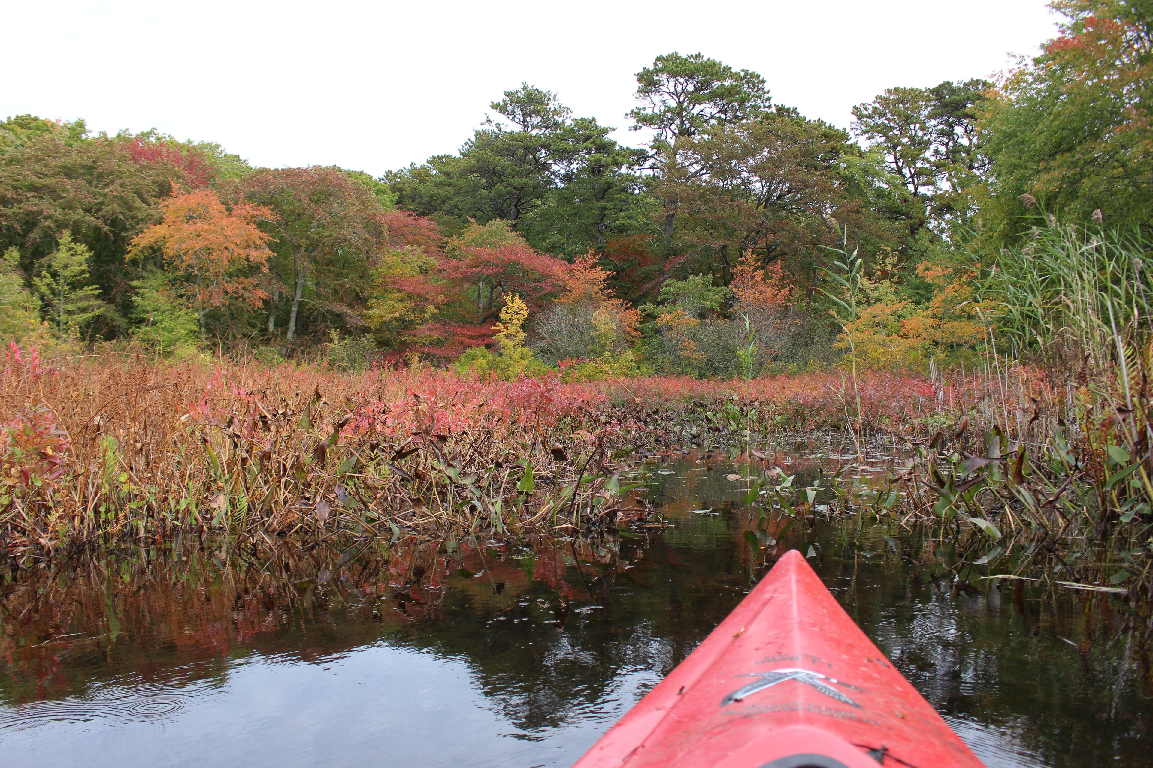 Exploring the park by water offers a different perspective.