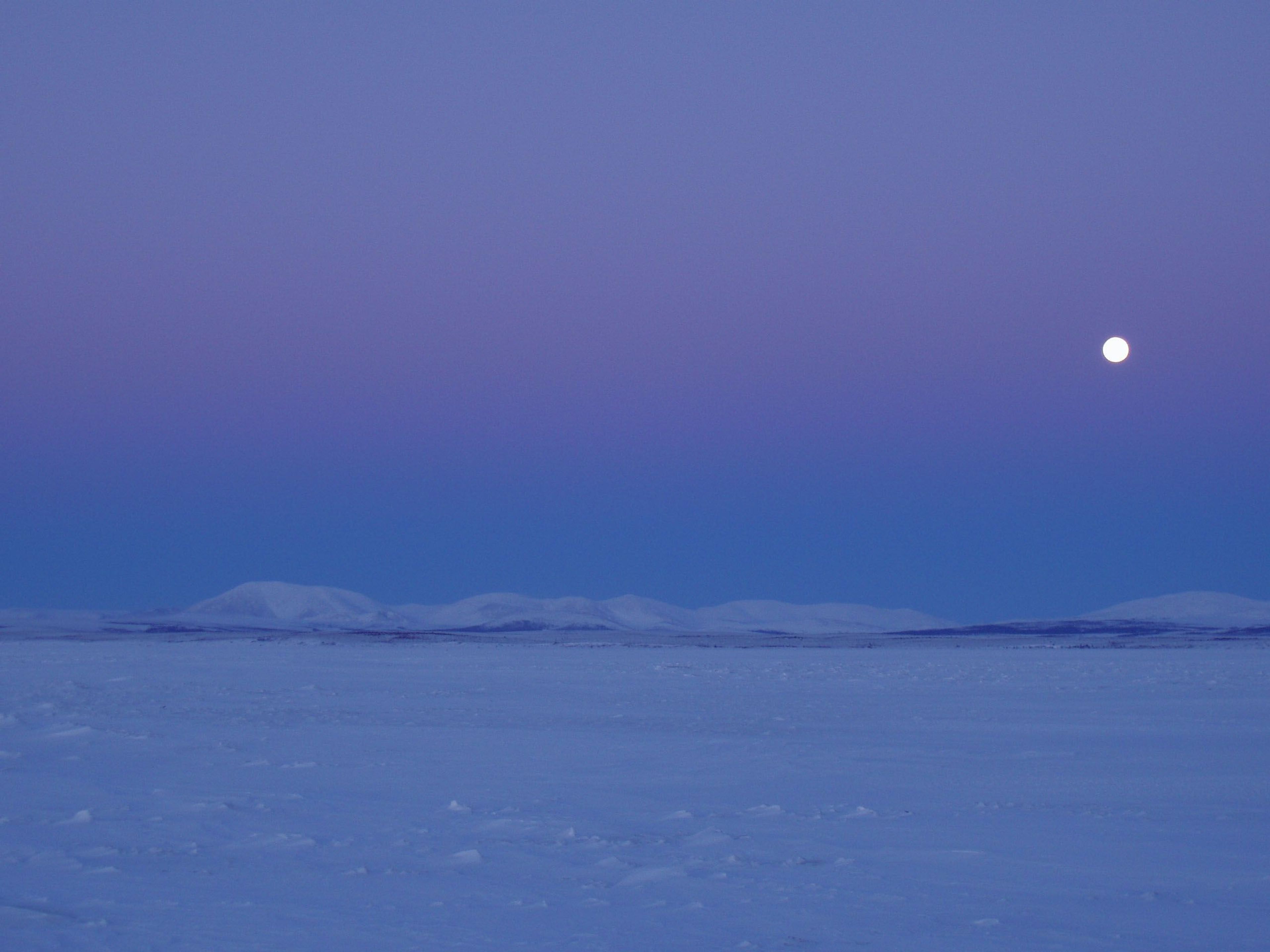 January light and a bright moon at 2 pm over the Igichuk Hills in Cape Krusenstern National Monument.