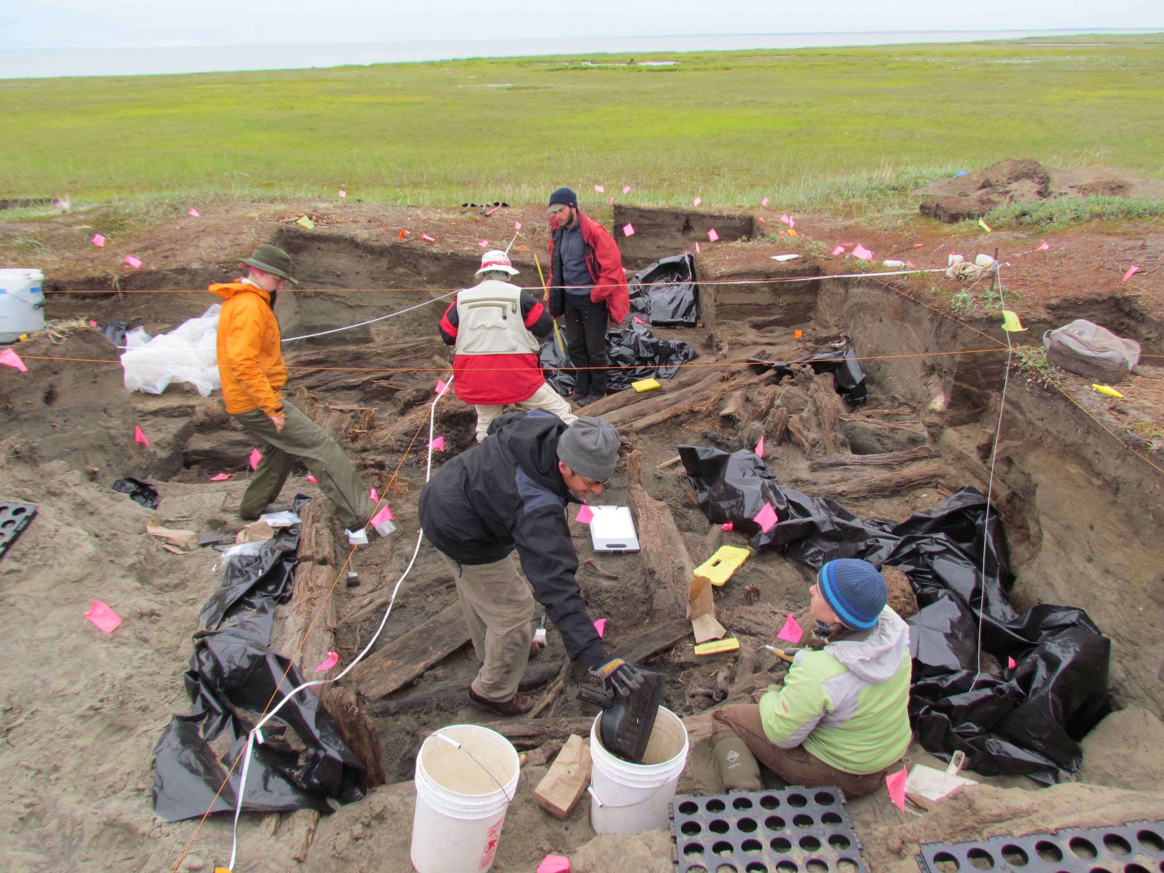 A University of Washington archeology crew conducts research on an old semi-subterranean house along the beach ridges of Cape Krusenstern. Old house timbers are slowly revealed about 4 feet down