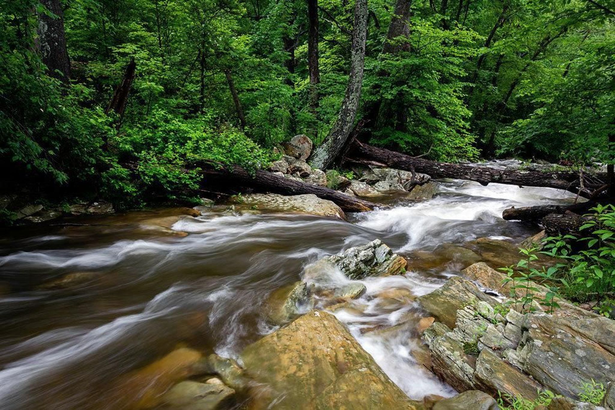 Winding its way through the ridge, Big Hunting Creek is a popular fly fishing destination.