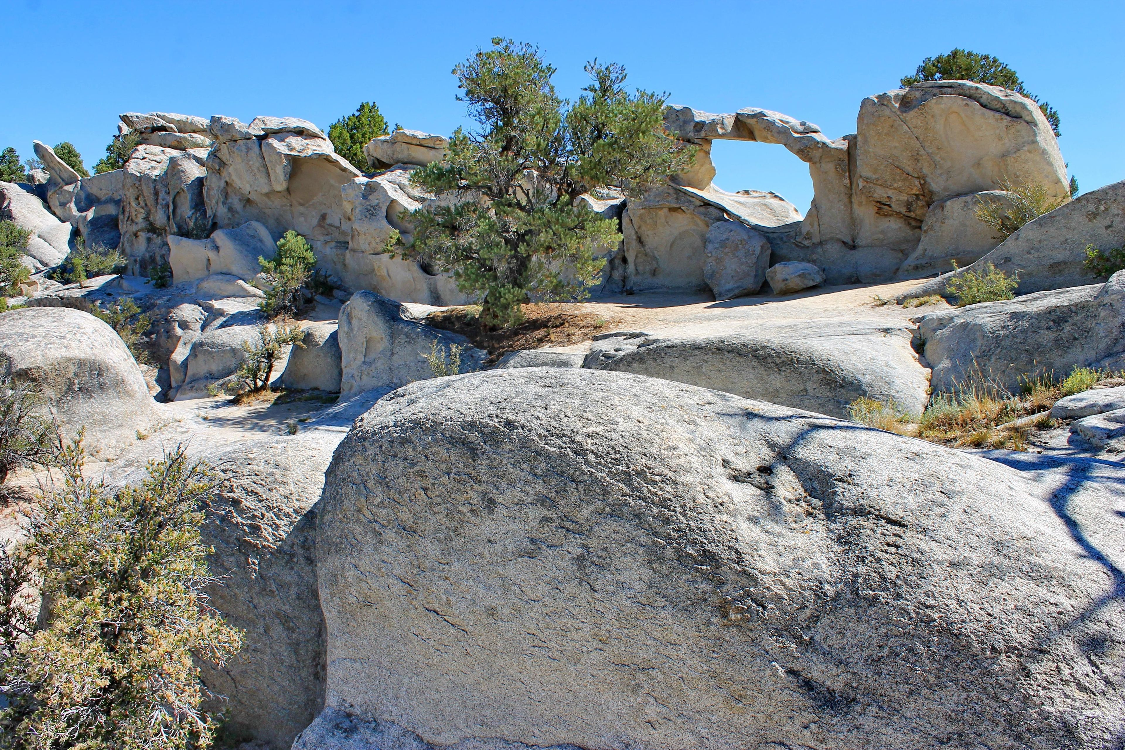 Forces of nature sculpt unexpected features in granite such as Window Arch