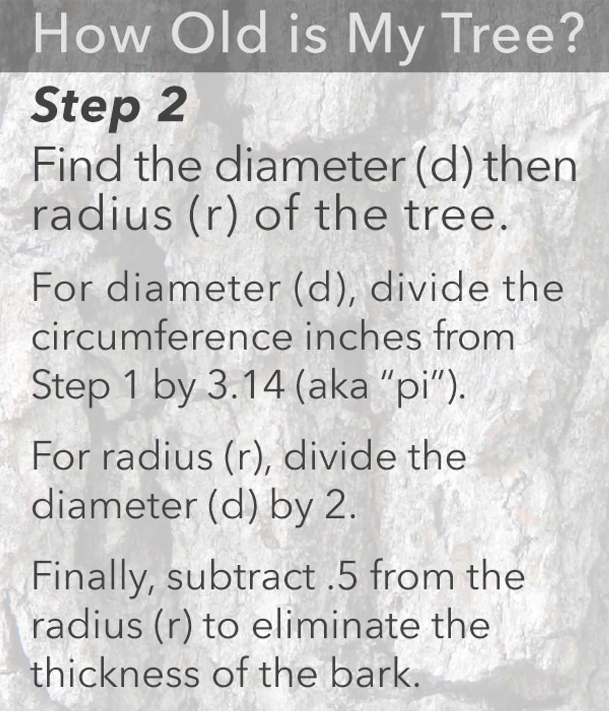 TreeAge-Step2.jpg