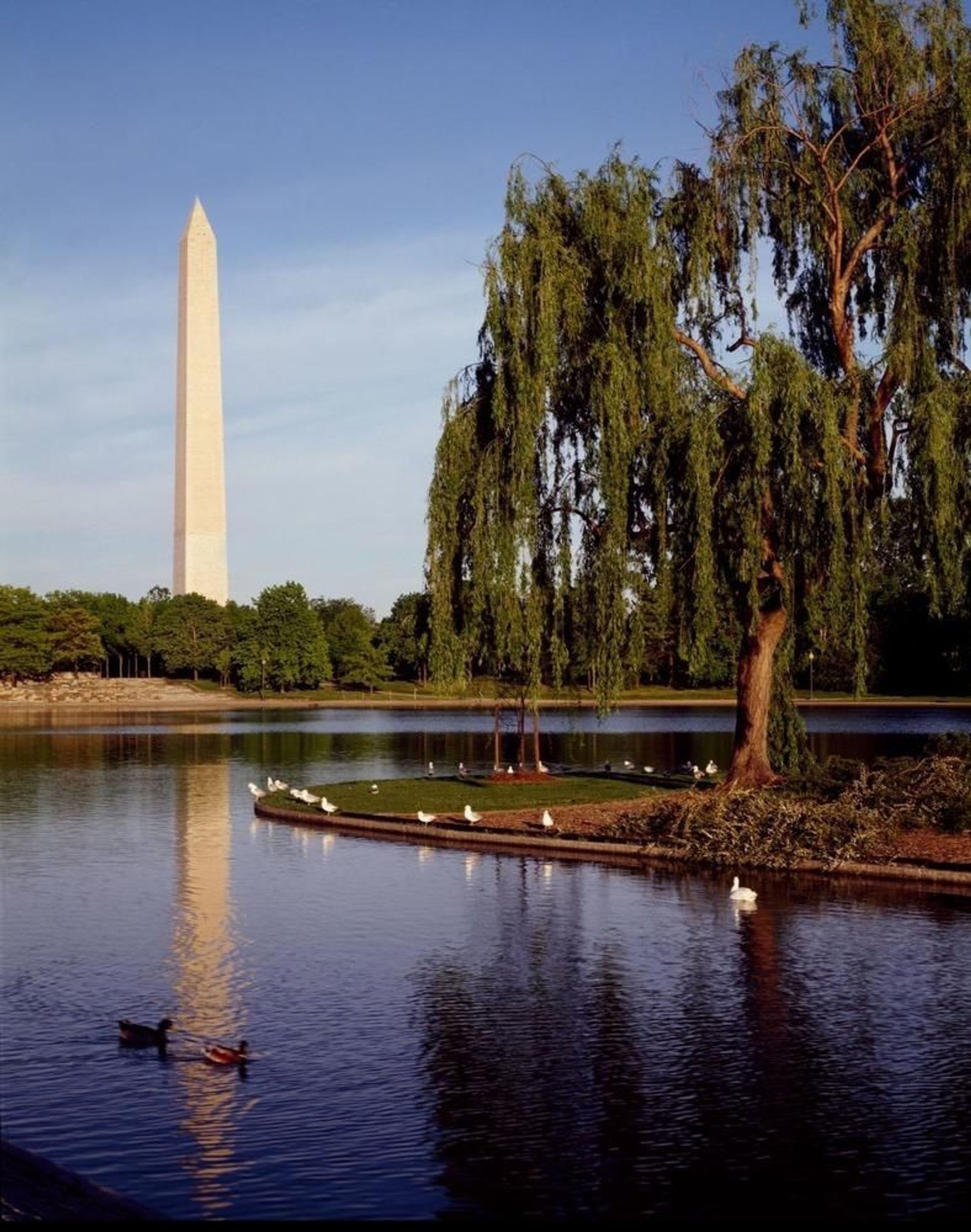 A view of the Washington Monument from Constitution Gardens