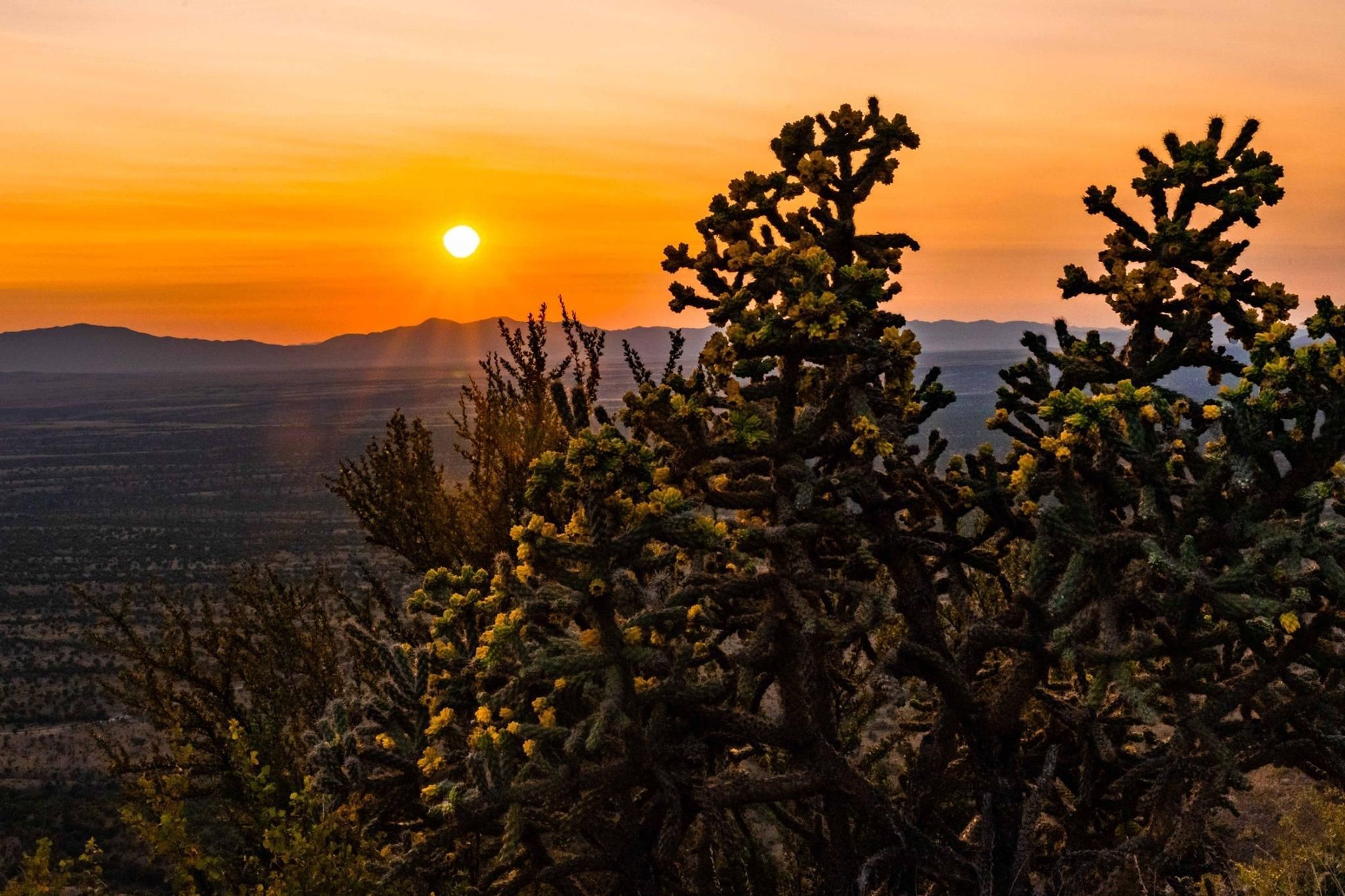 Sunsets from Montezuma Pass provide a beautiful opportunity to gaze out into the Sky Islands.