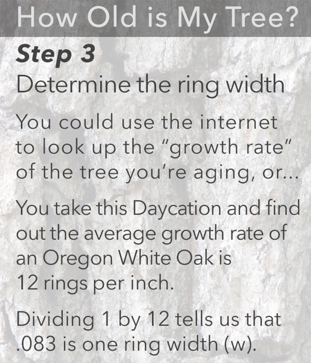 TreeAge-Step3.jpg