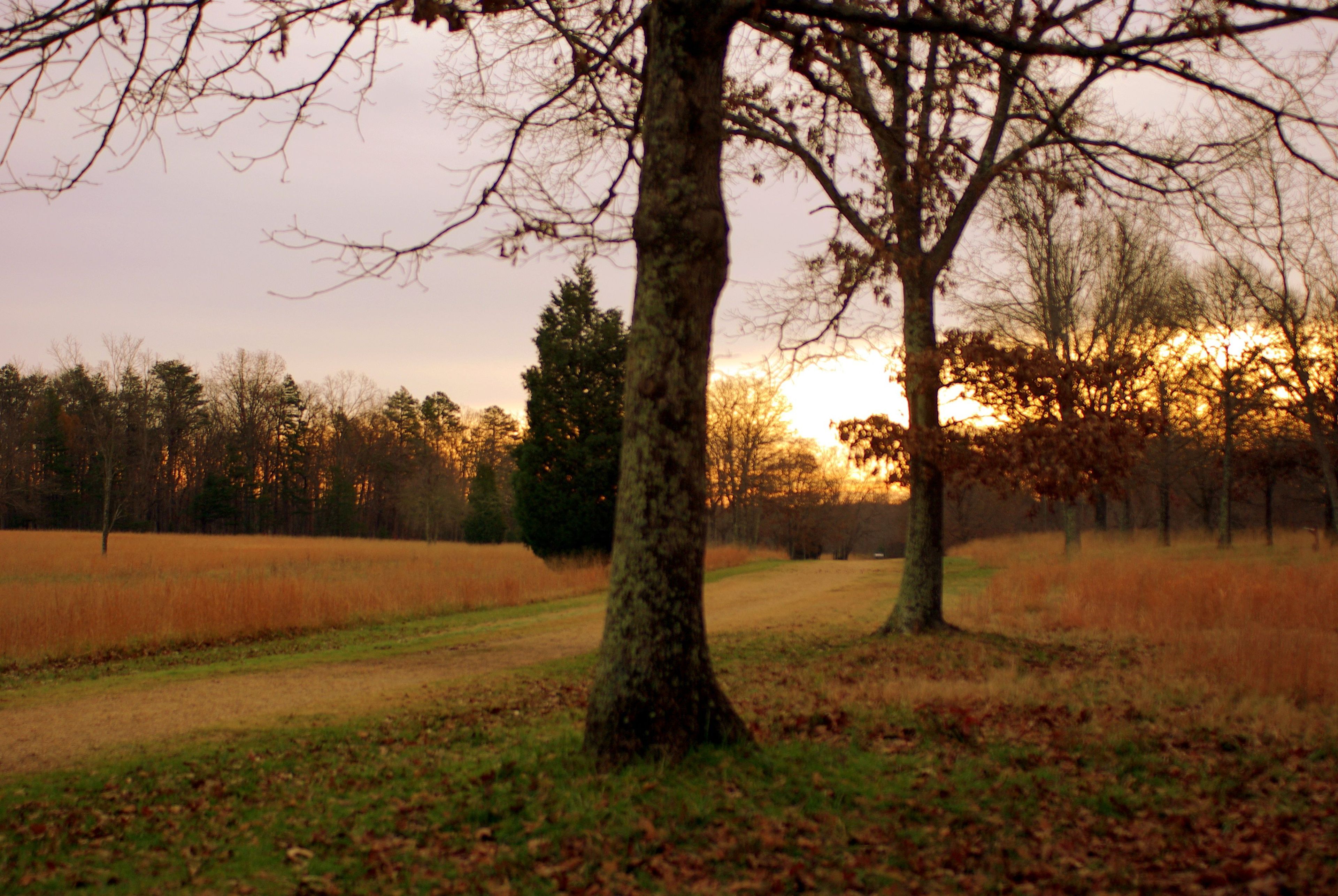 Sunrise on Green River Road