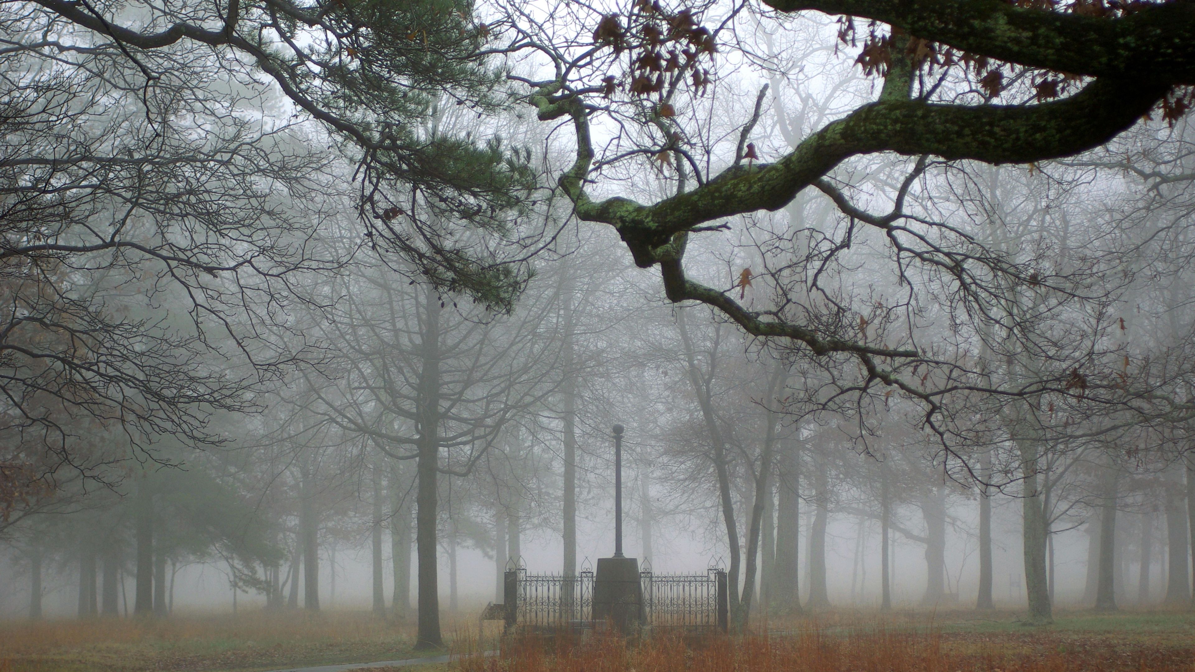 Washington Light Infantry Monument in the Fog