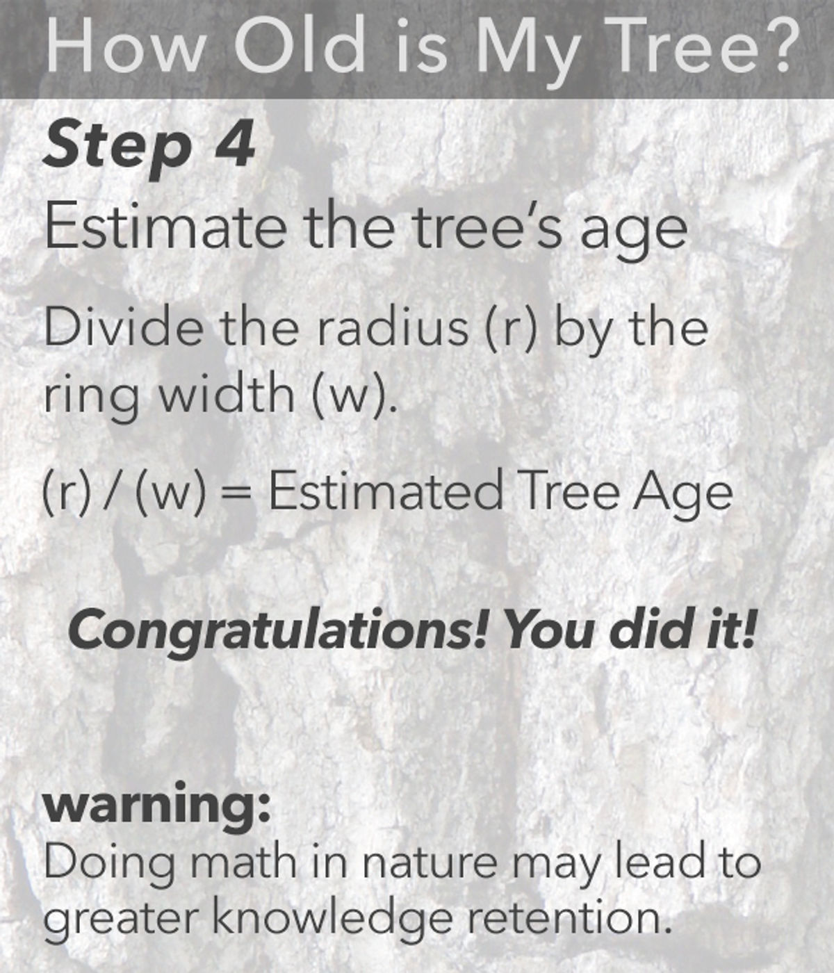 TreeAge-Step4.jpg