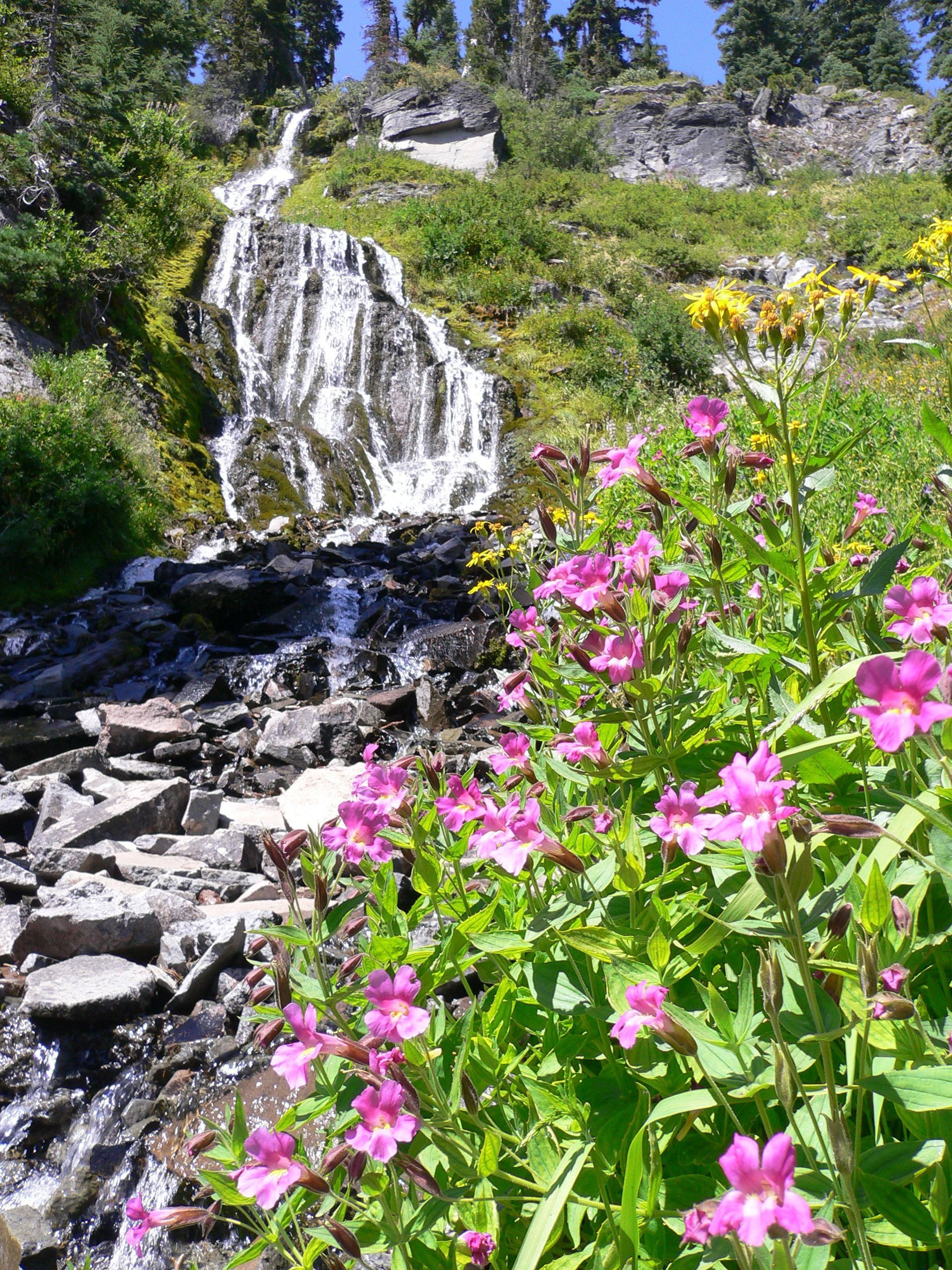 Water flowing over Vidae Falls